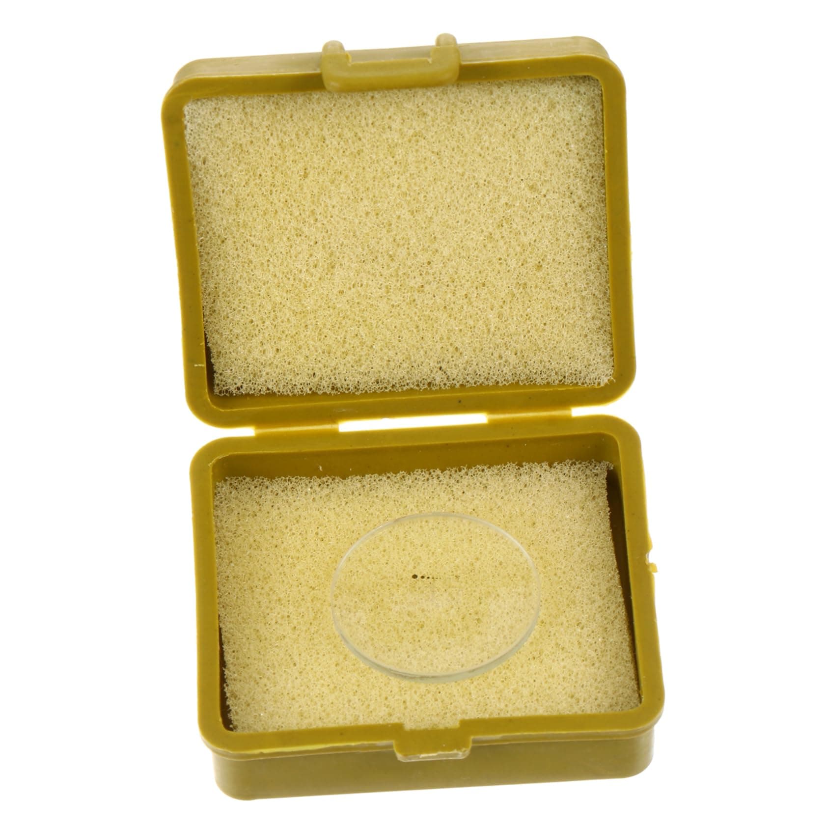 Baluue Eyepiece Micrometer Ocular Micrometer Scale Ruler Microscope Slides Area Measuring Rulers Microscopio Net Shaped Micrometer Glass Sheet The C2 According to The Picture