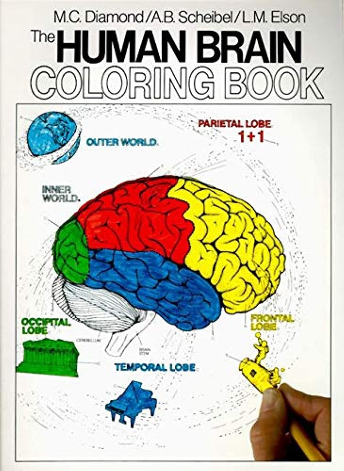 The Human Brain Coloring Book: A Coloring Book – An Interactive Guide to Neuroanatomy for Medical Students and Professionals (Coloring Concepts)