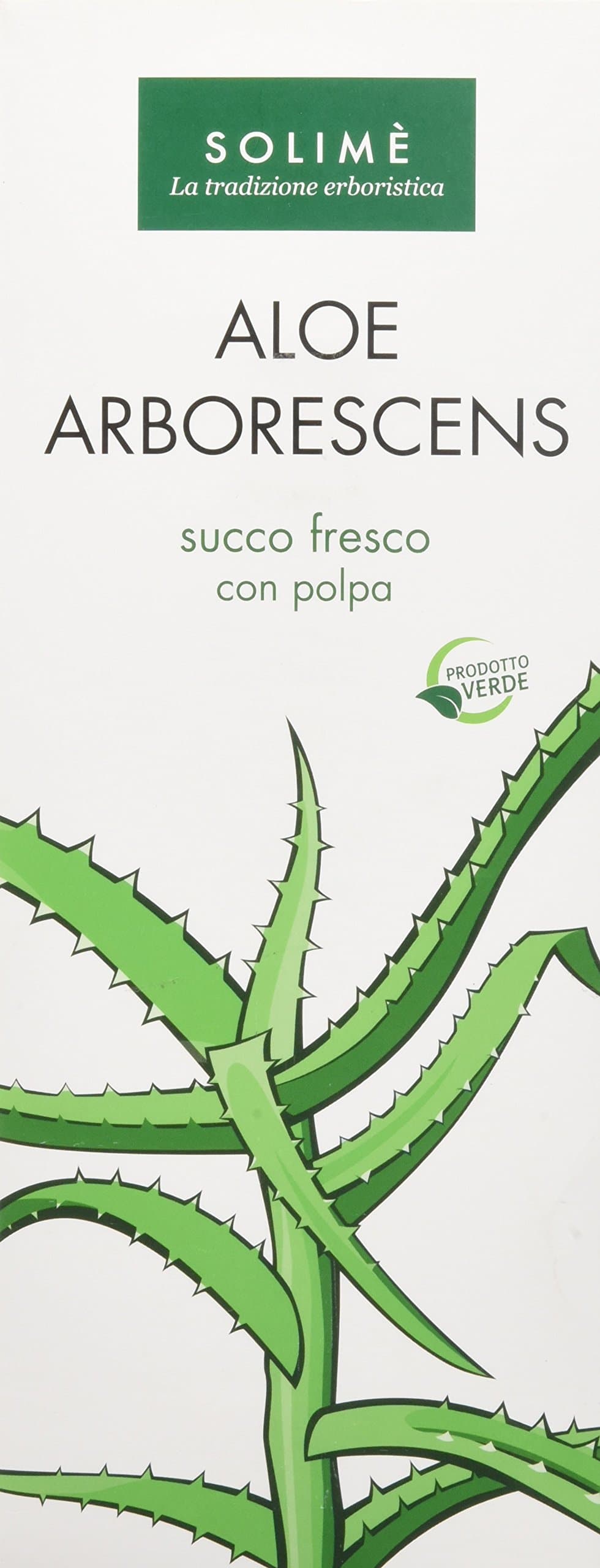 Aloe Succo+polpa 1lt