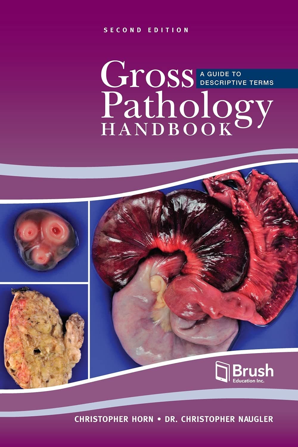 Gross Pathology Handbook: A Guide to Descriptive Terms Paperback – 8 Nov. 2021