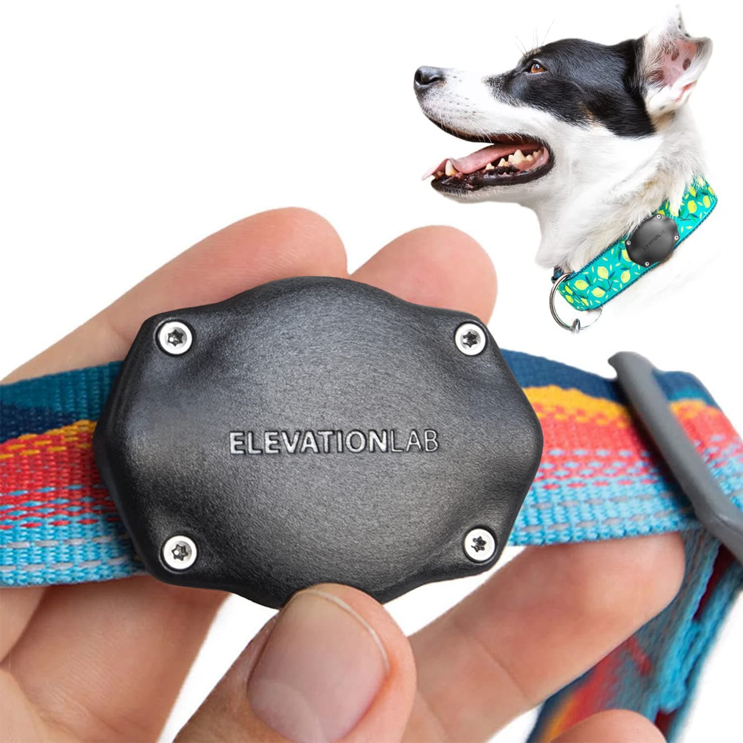 AirTag Dog Collar Holder - TagVault™ - Secure Thru-Mount, IP69 Waterproof, Doesn't Dangle, Fits All Width Collars