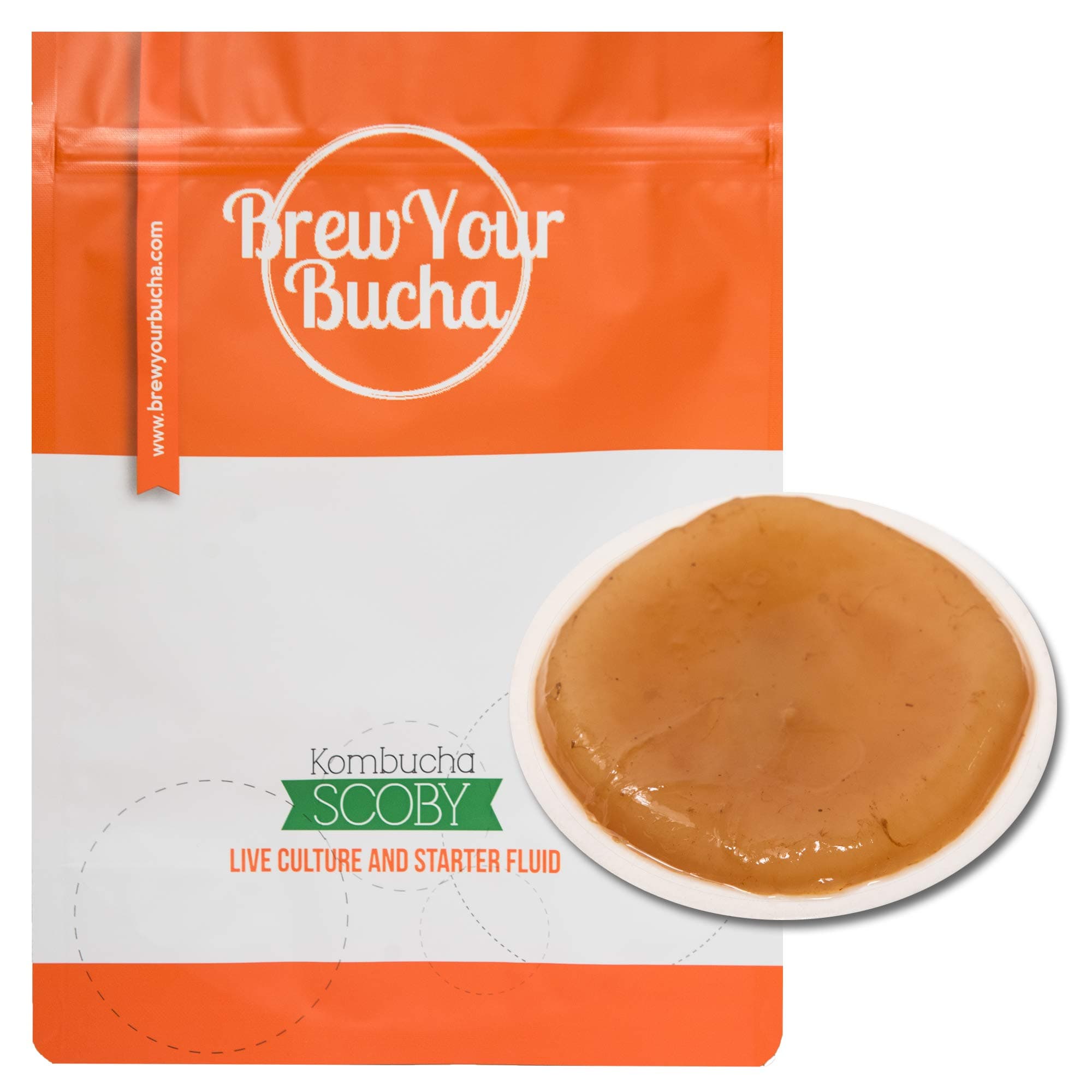 Brew Your Bucha Kombucha Tea SCOBY with starter fluid. SCOBY grown with our premium hand-selected black Yunnan Gold Tea