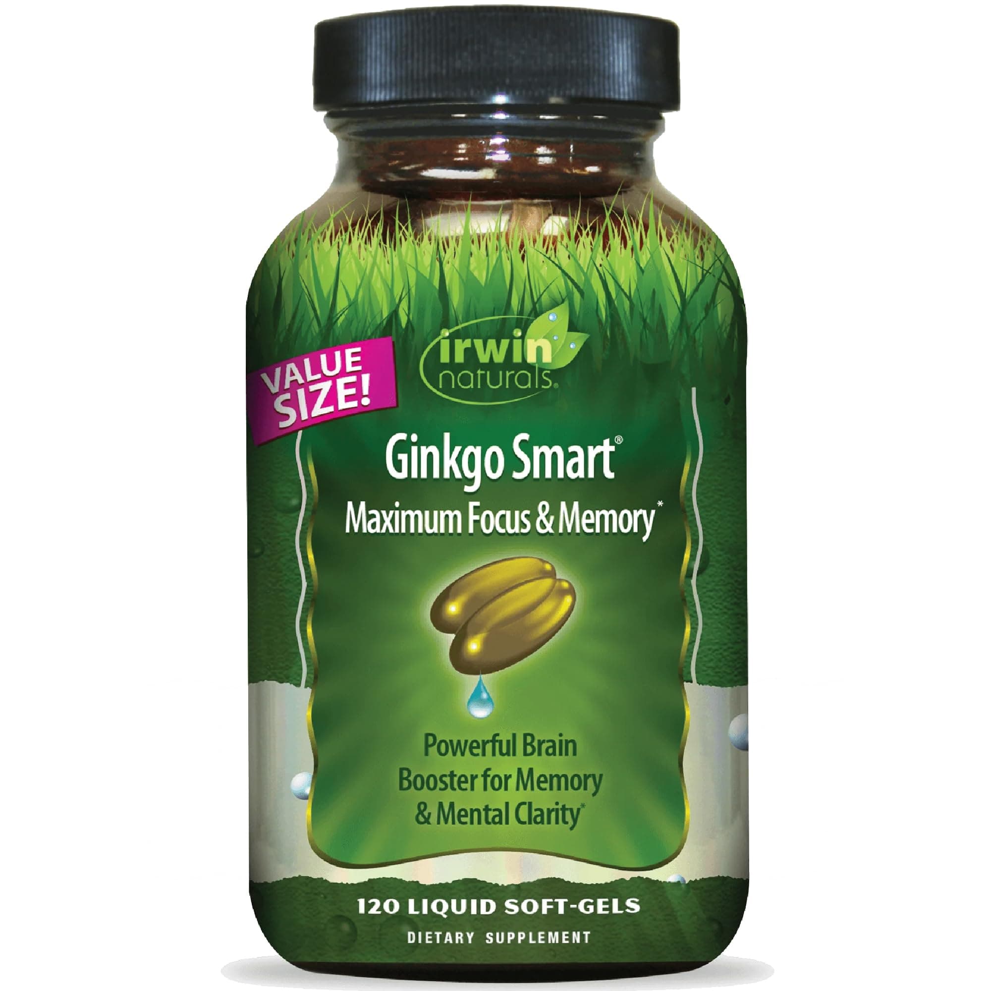 Irwin Naturals Ginkgo Smart - Brain Supplements for Memory and Focus with Ginkgo Biloba, Acetyl-L-Carnitine, DMAE and BioPerine® for Superior Absorption - 120 Liquid Soft-Gels