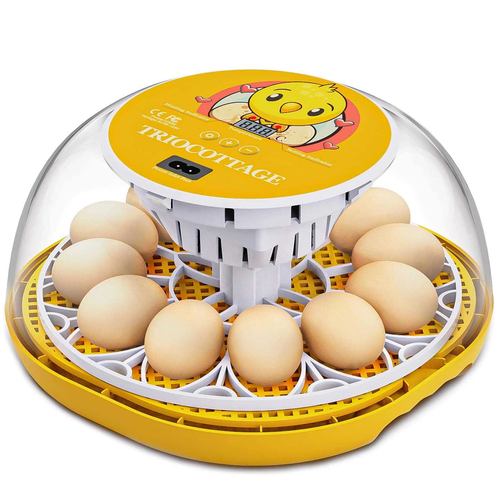 12 Clear Egg Hatching Incubator with Automatic Egg Turning and Auto Water Replenishment for Chicken Eggs and Quail Egg (Eco-Friendly Packaging)