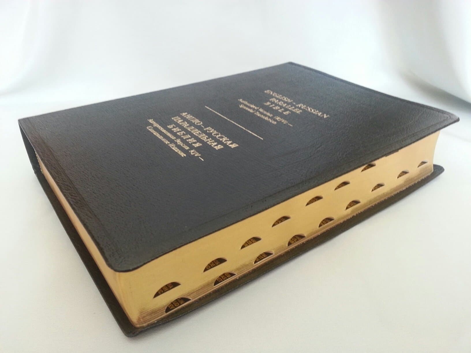 English-Russian Parallel Bible (Leather Bound)