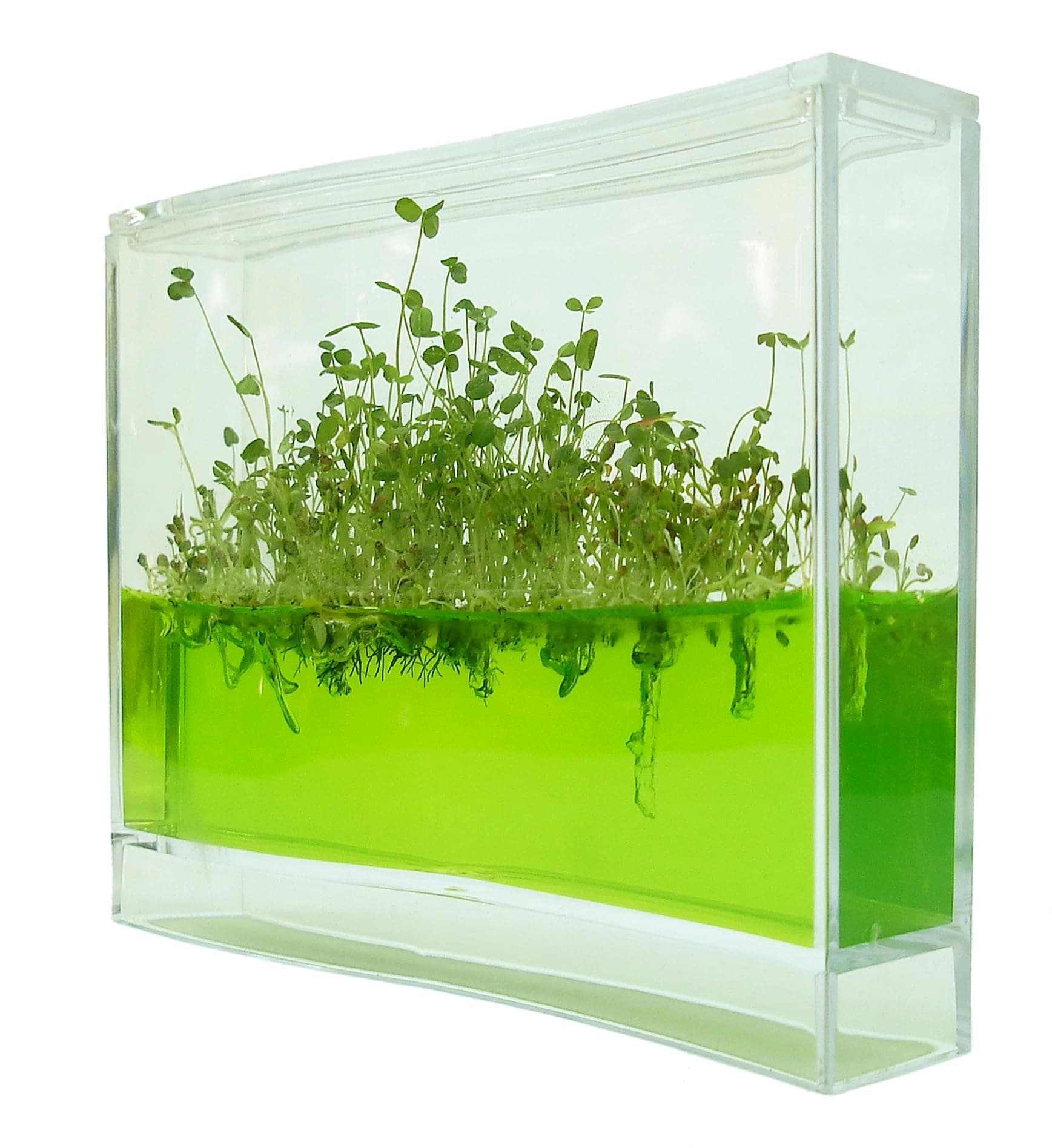 Plantarium Super : Plantarium