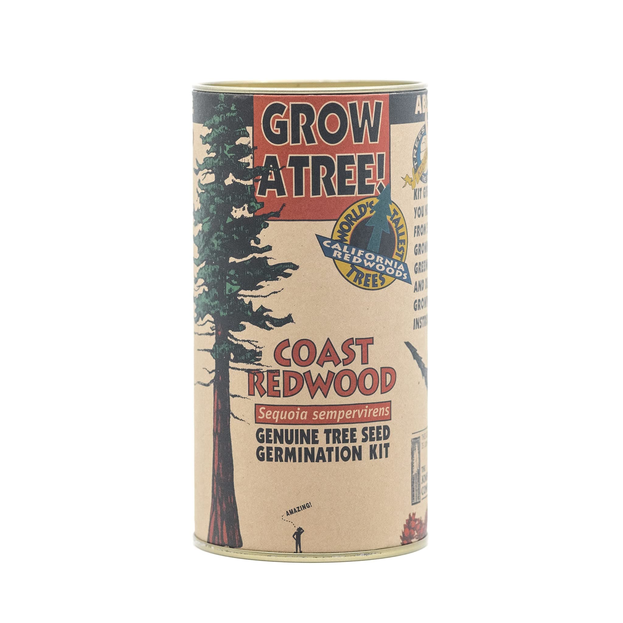 Coast Redwood Grow Kit (Sequoia sempervirens)