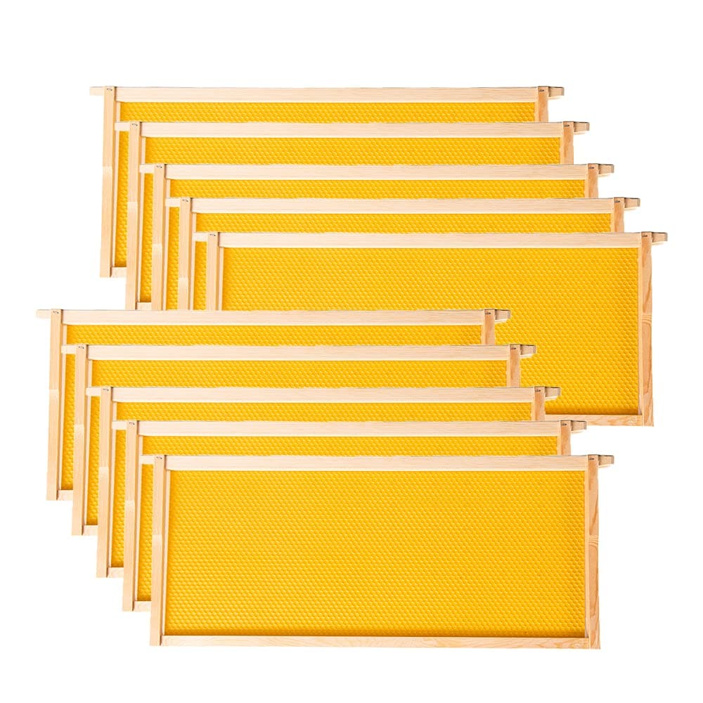 MayBee Deep Brood Beehive Frames with Wax Foundation,10 Pack Honey Bee Frames...