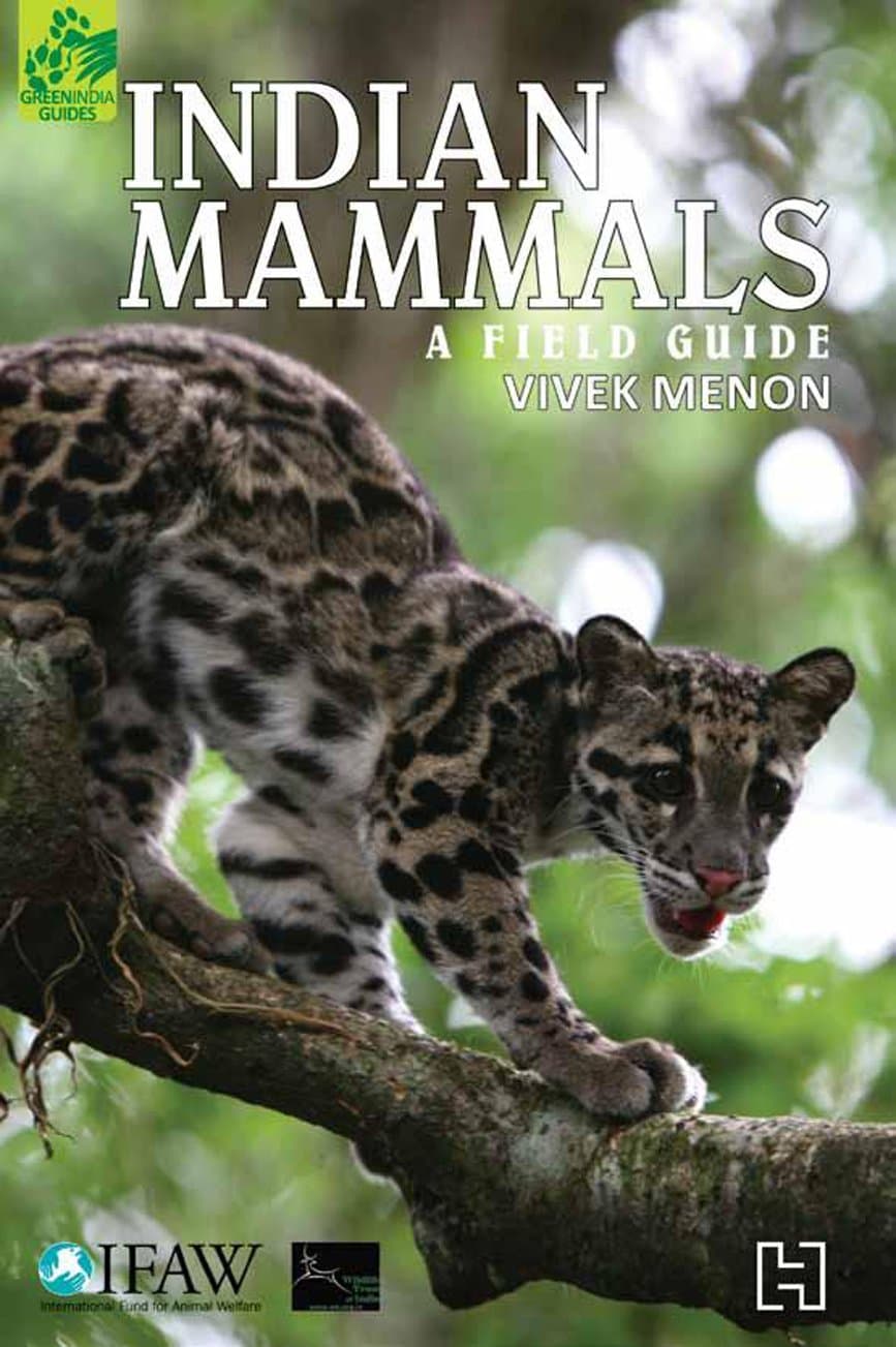 Indian Mammals: A Field Guide