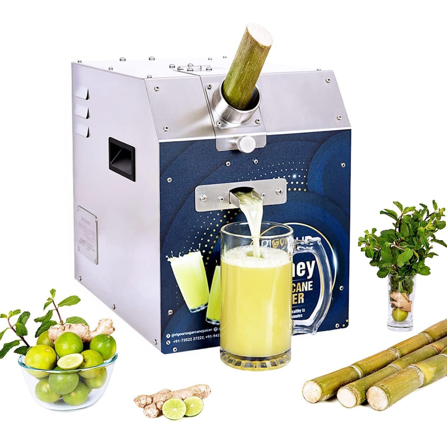 Homey Sugarcane Juicer