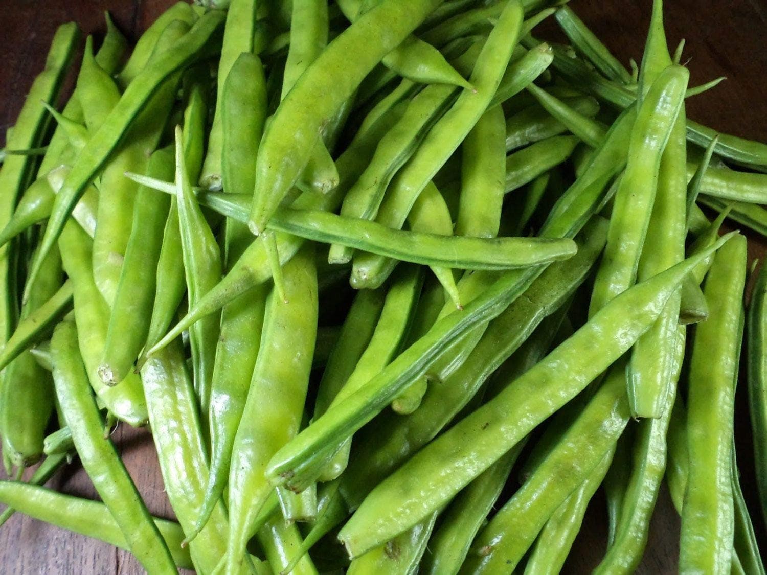 Indian Cluster Bean Seeds (25 Seeds)