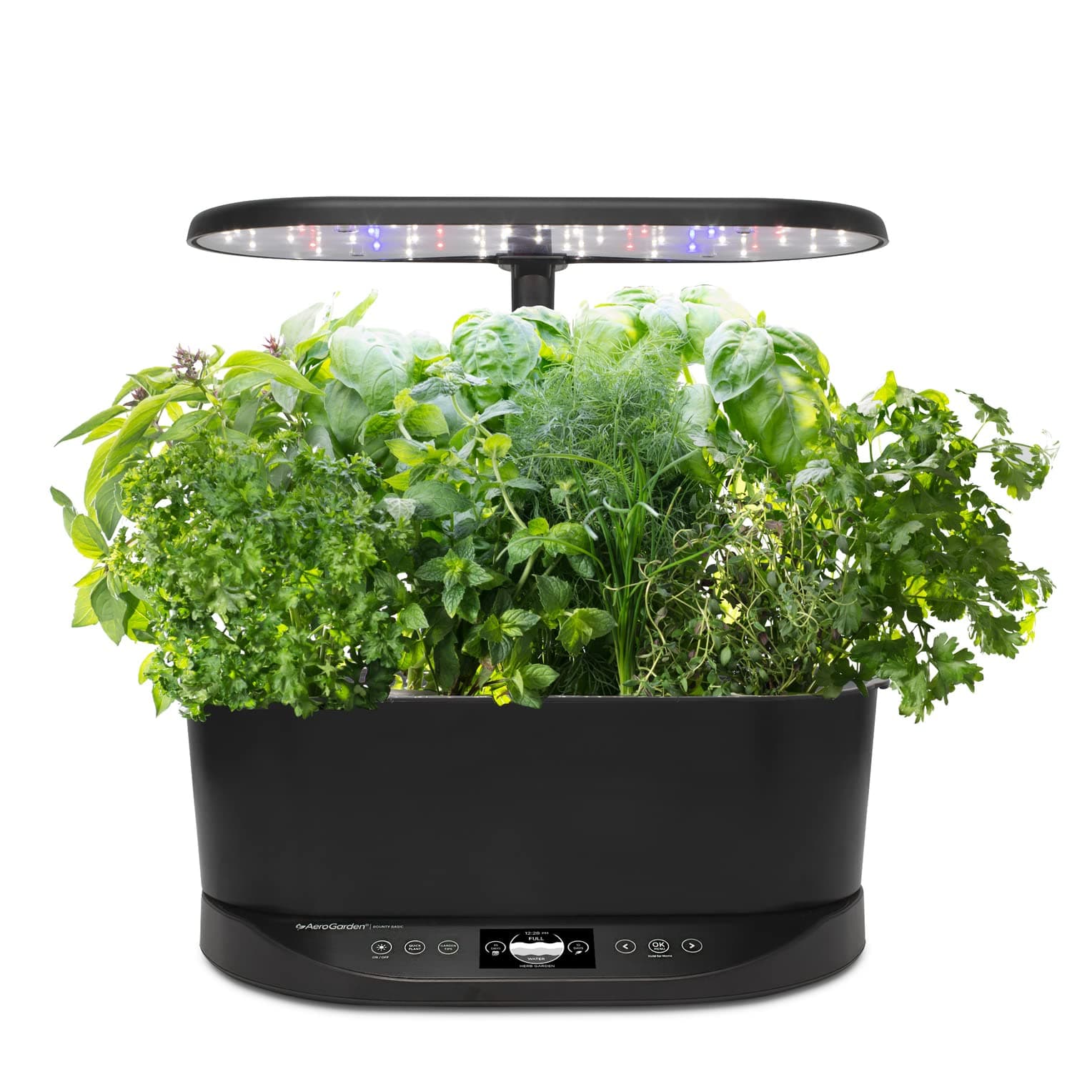 Bounty Basic - Indoor Garden with LED Grow Light, Black