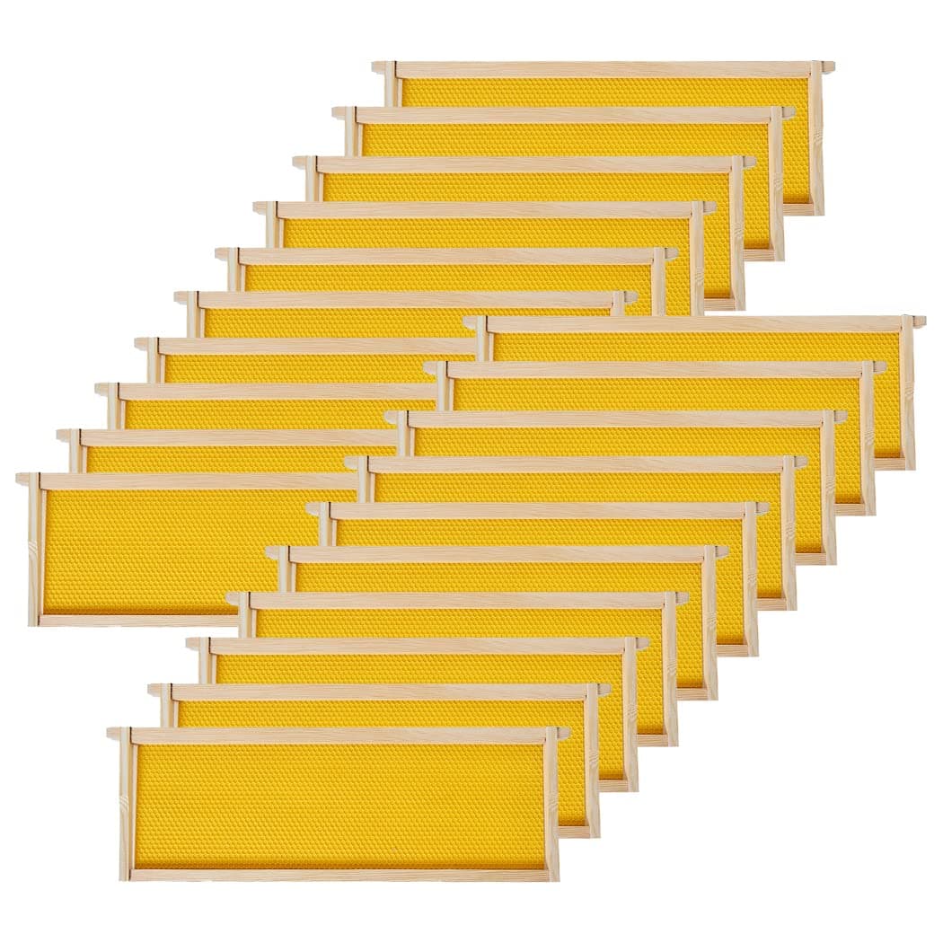 BeeCastle 20 Pack Medium Beehive Frames and Waxed Foundations,Honey Bee Frames with Wooden Bee Hive Frames and Beeswax Coated Foundations, 6-1/4-Inch (Yellow)