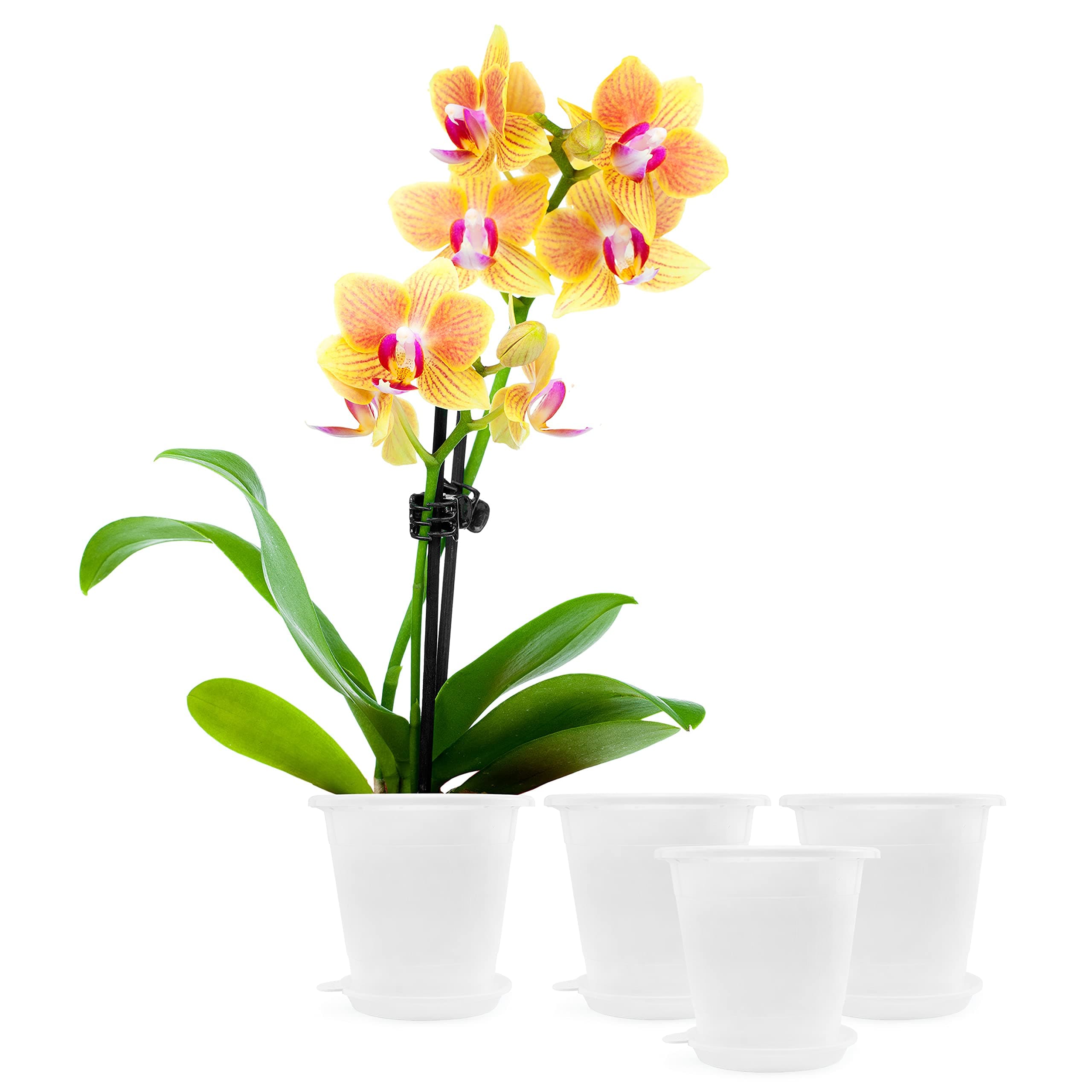 Darware Orchid Pot Sets (4-Pack); Includes Mesh Interior Pot, Exterior Pot, Tray, 12 Pieces Total, White, 4.5 inch Tall by 5 inch Diameter