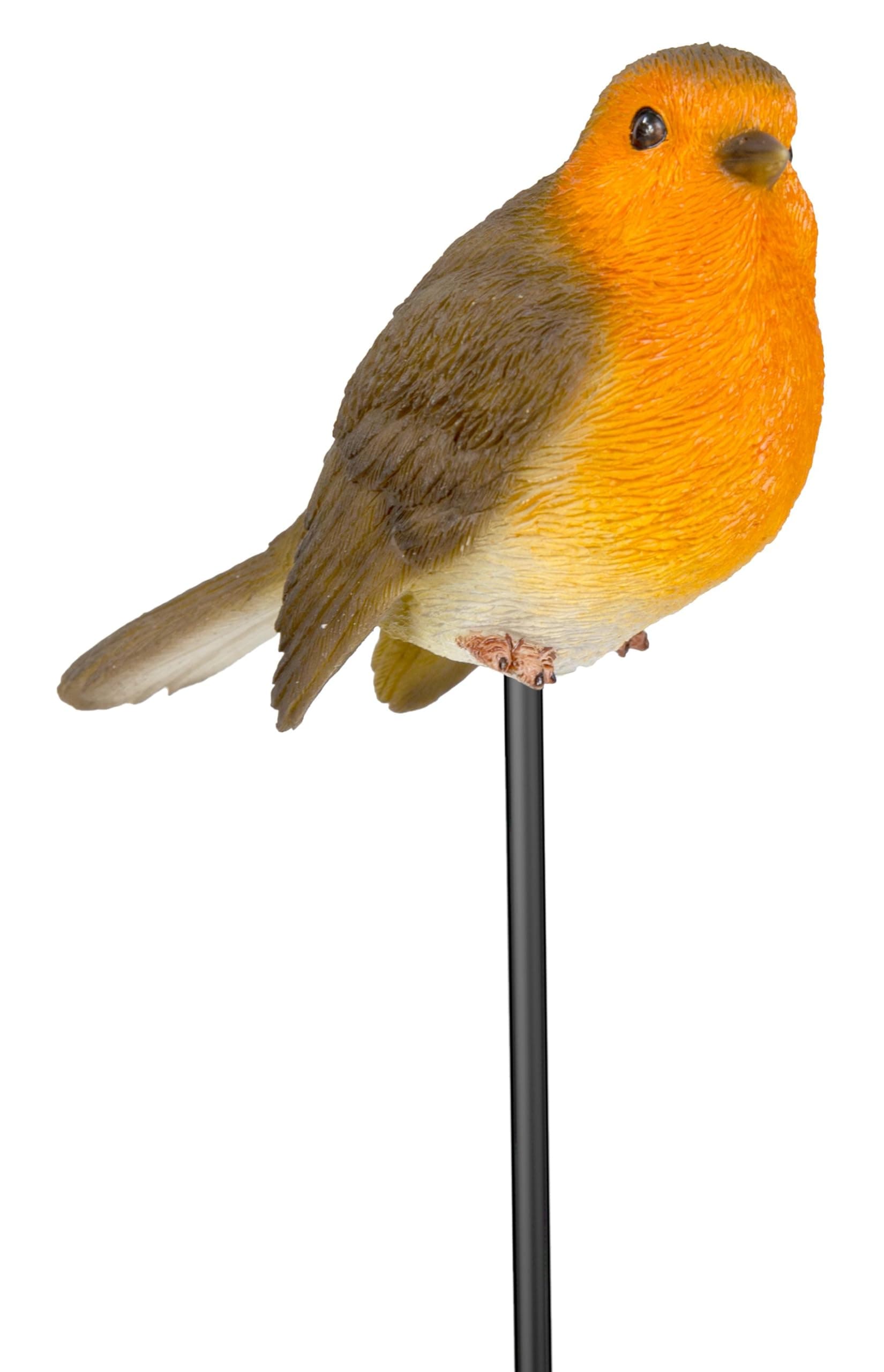 Robin Plant Pal - PLP-099