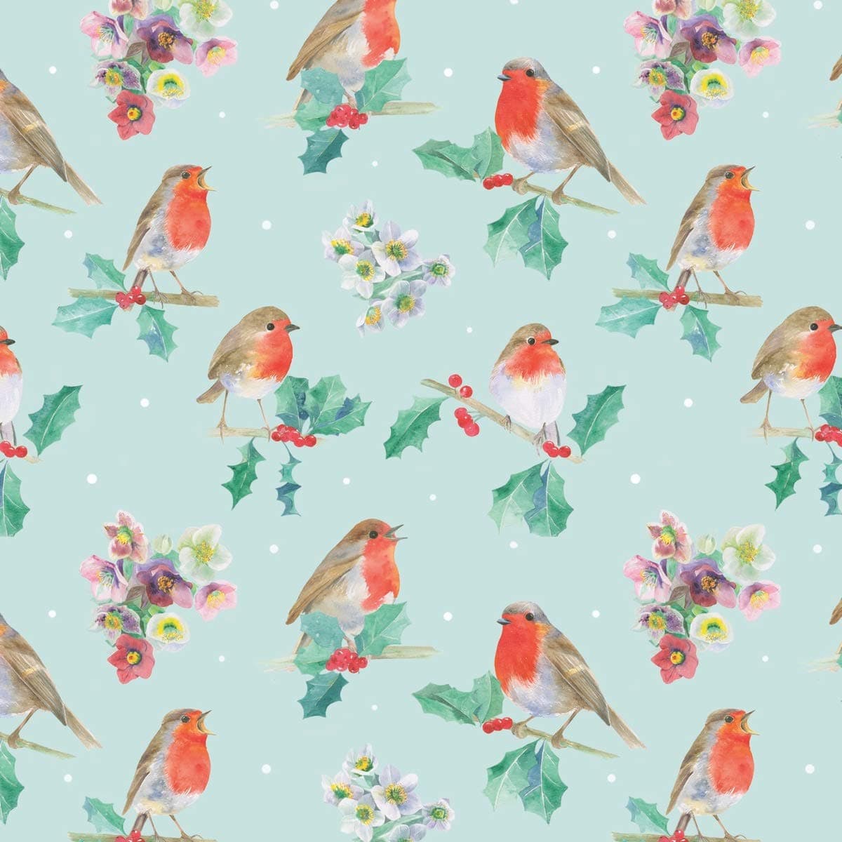 Robin Gift Wrapping Paper, 2 Sheets and 2 Gift Tags