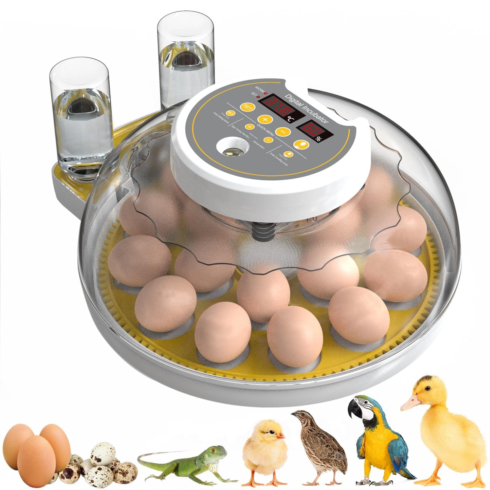 18 Egg Incubator, Incubators for Hatching Eggs with Automatic Egg Turning and Humidity Control, Egg Candler & Auto Water Adding for Farm Hatching Chicken Quail Ducks