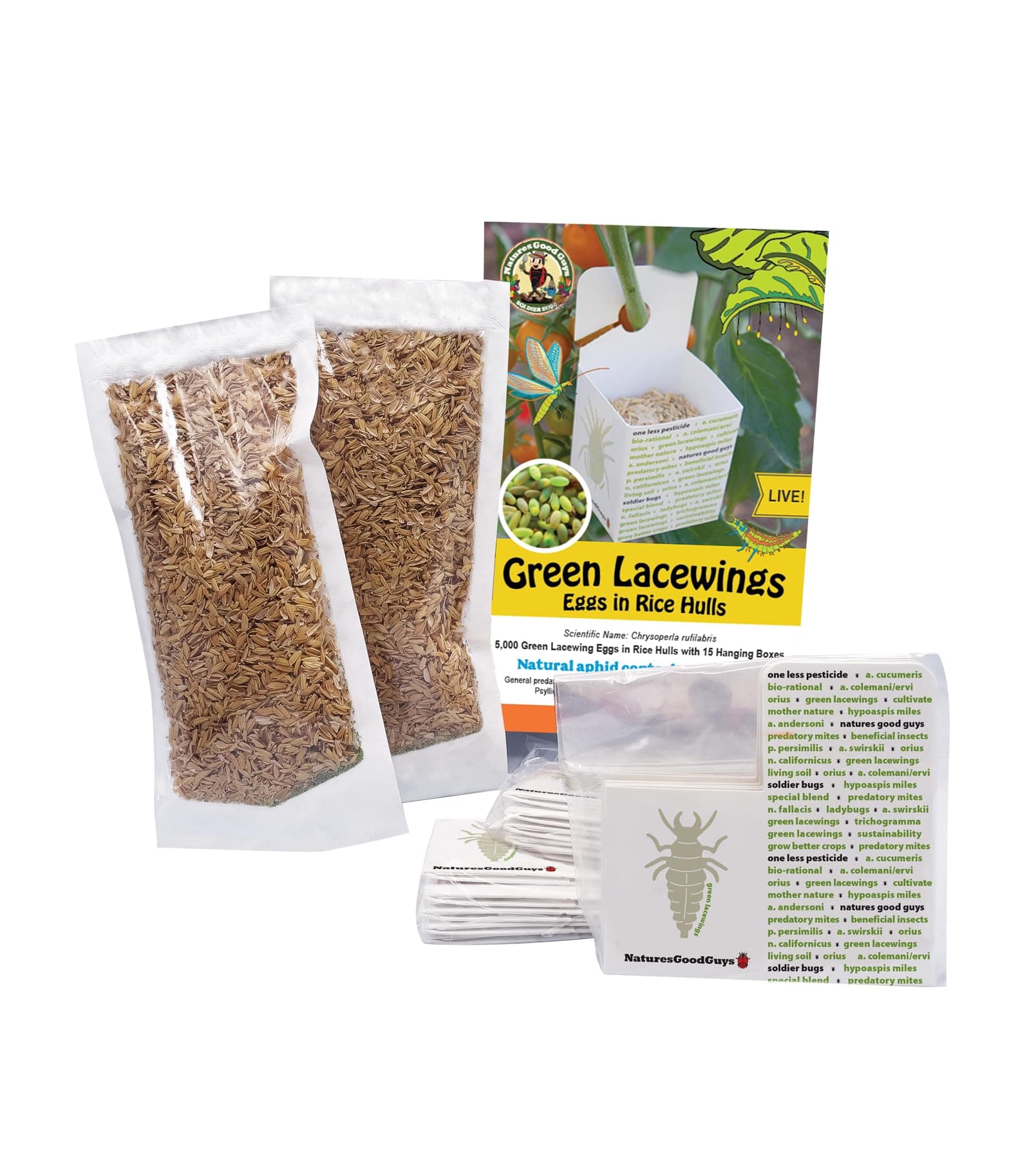 Green Lacewing 5,000 Eggs