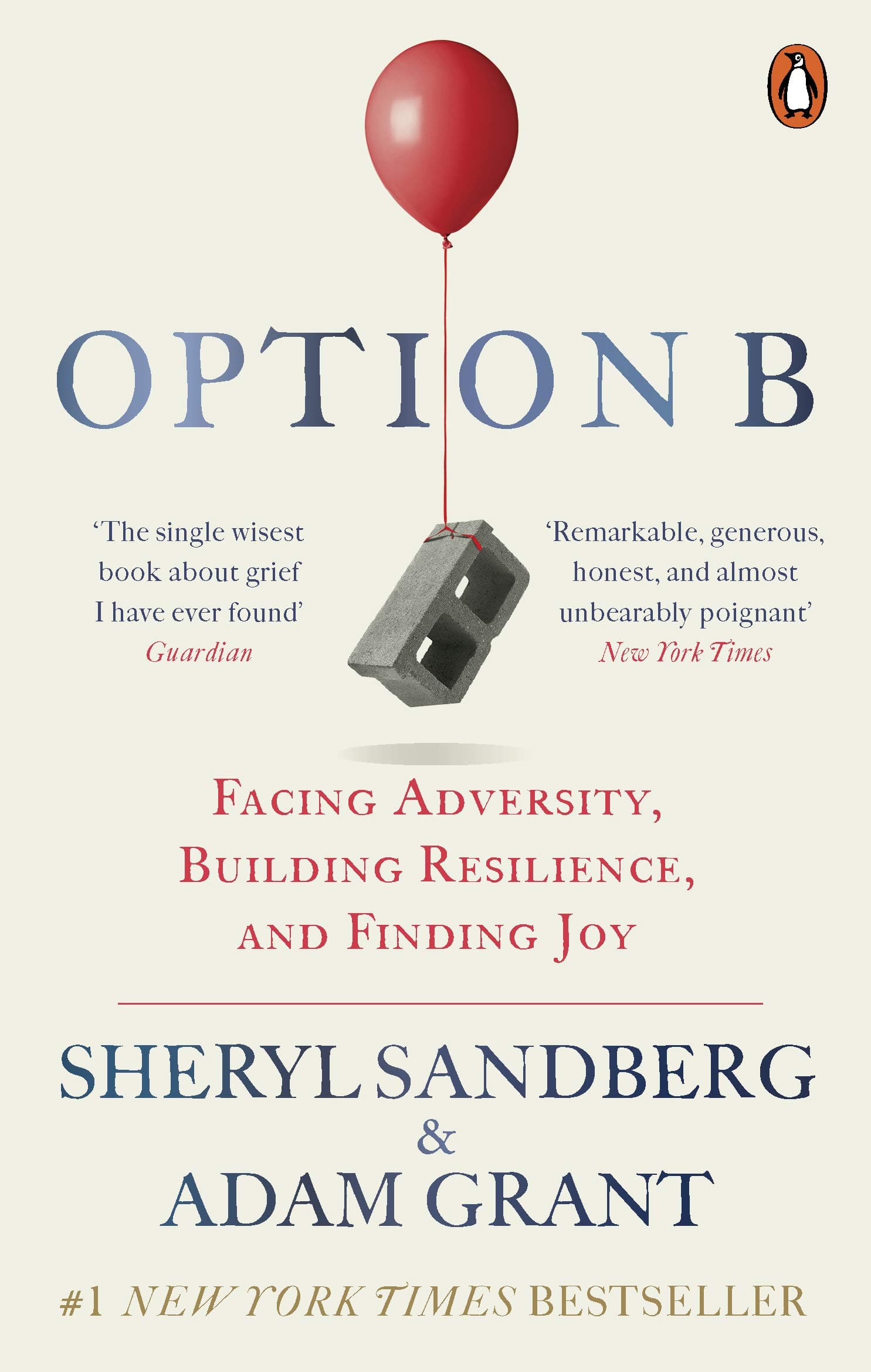 Option B: Facing Adversity, Building Resilience, and Finding Joy