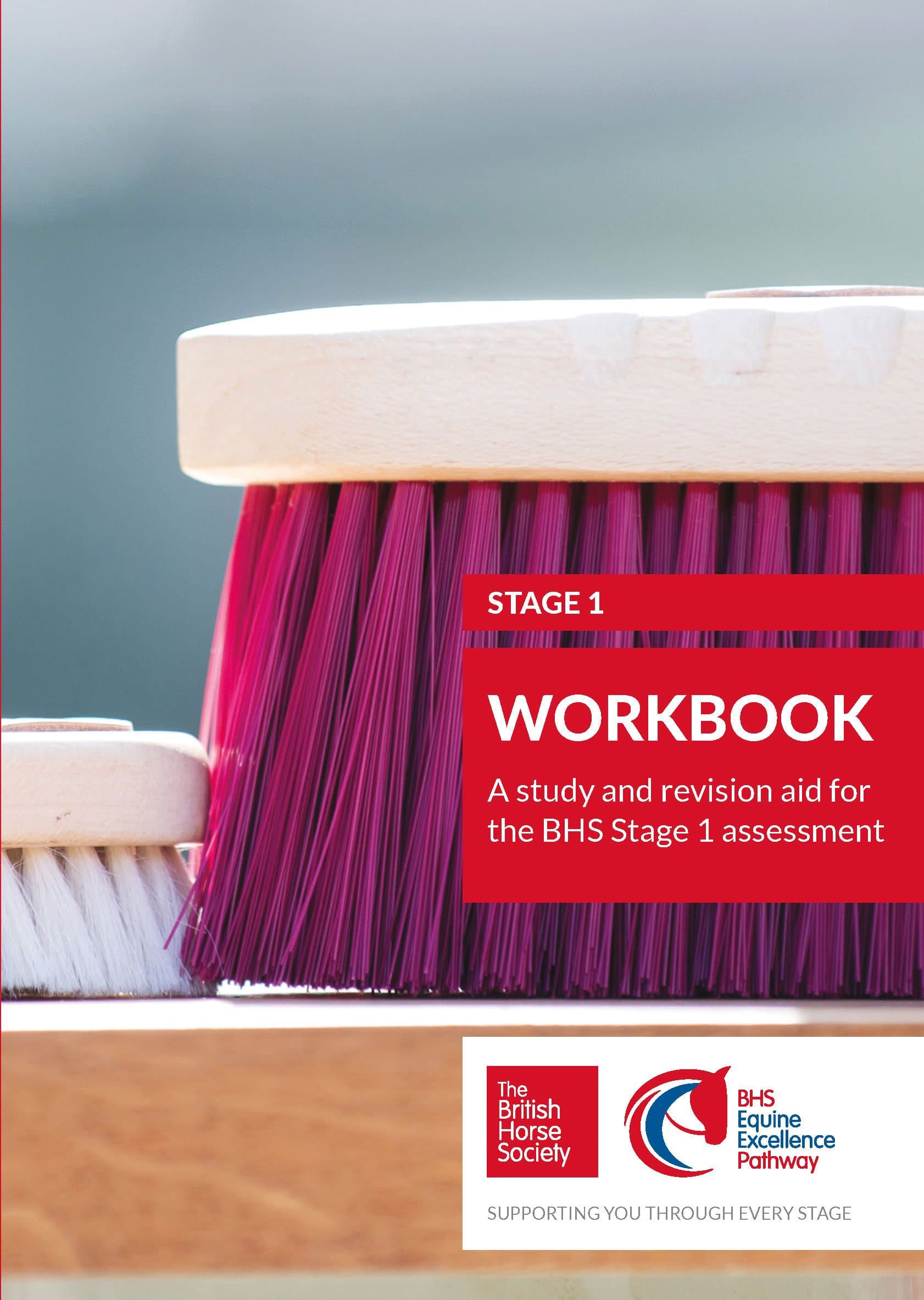 BHS Stage 1 Workbook: A study and revision aid for the BHS Stage 1 assessment (BHS Workbook) (BHS Workbooks)