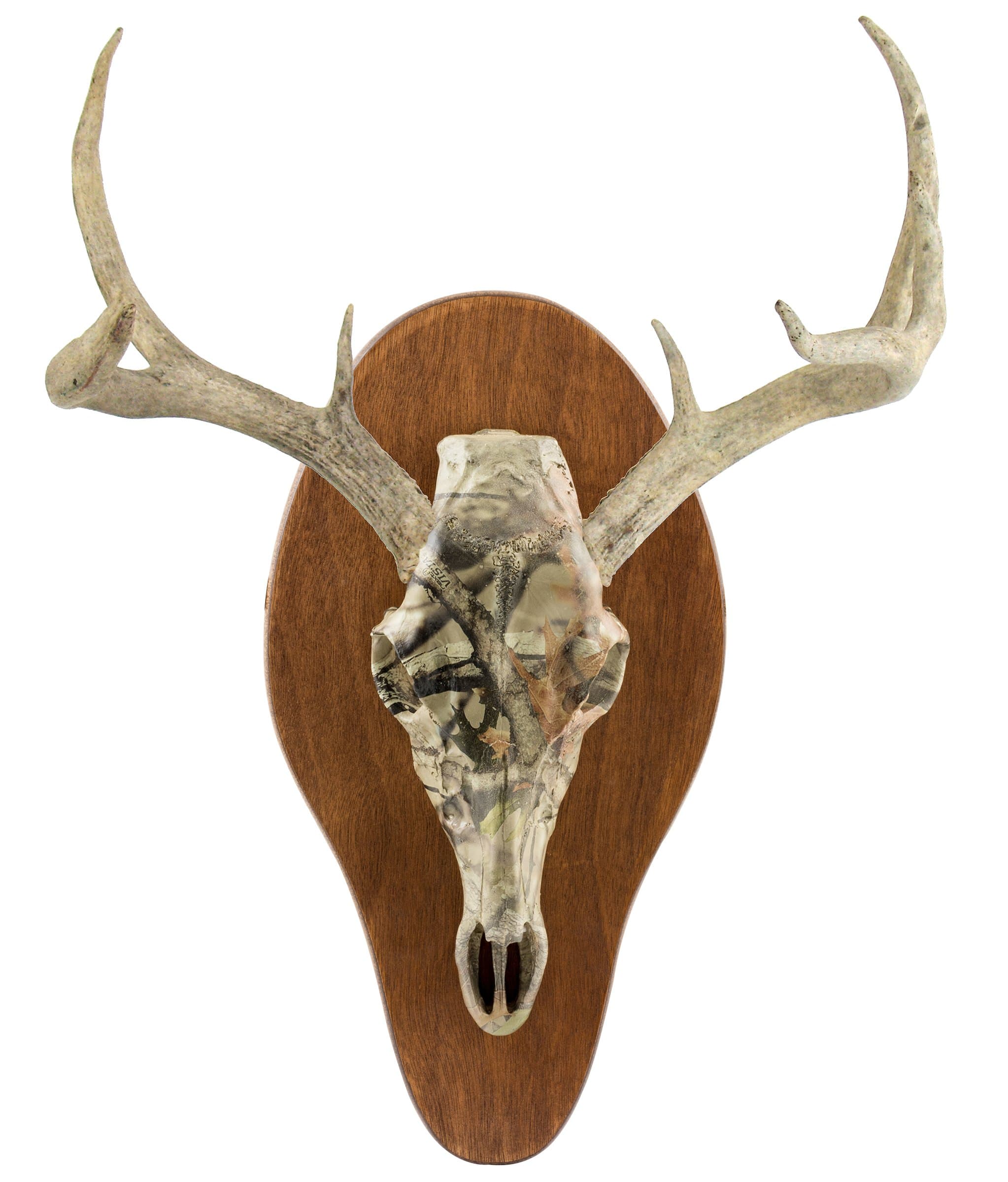 Field Champ Replica Skull Mount Kit