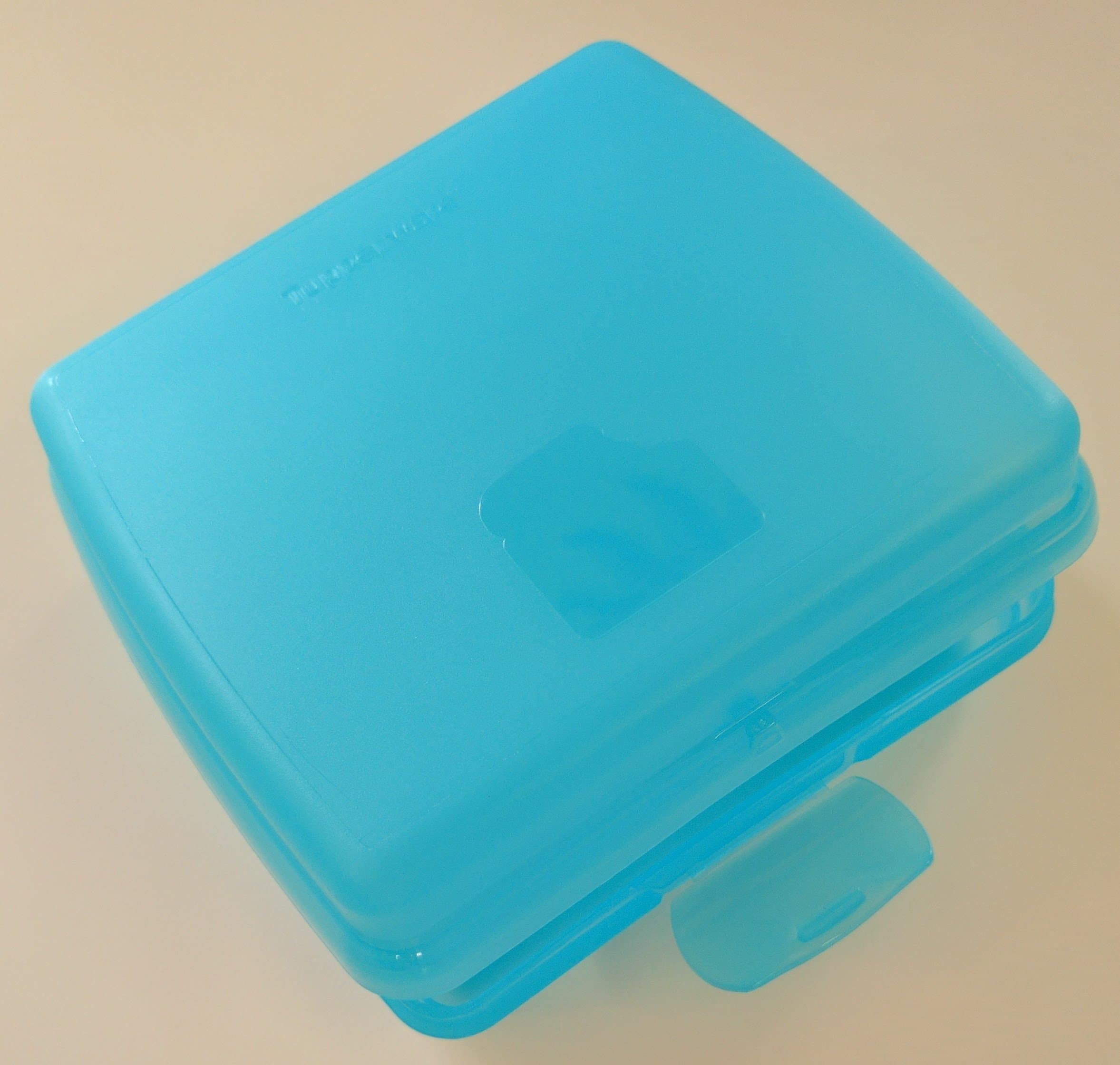 Sandwich Keeper in Cool Aqua