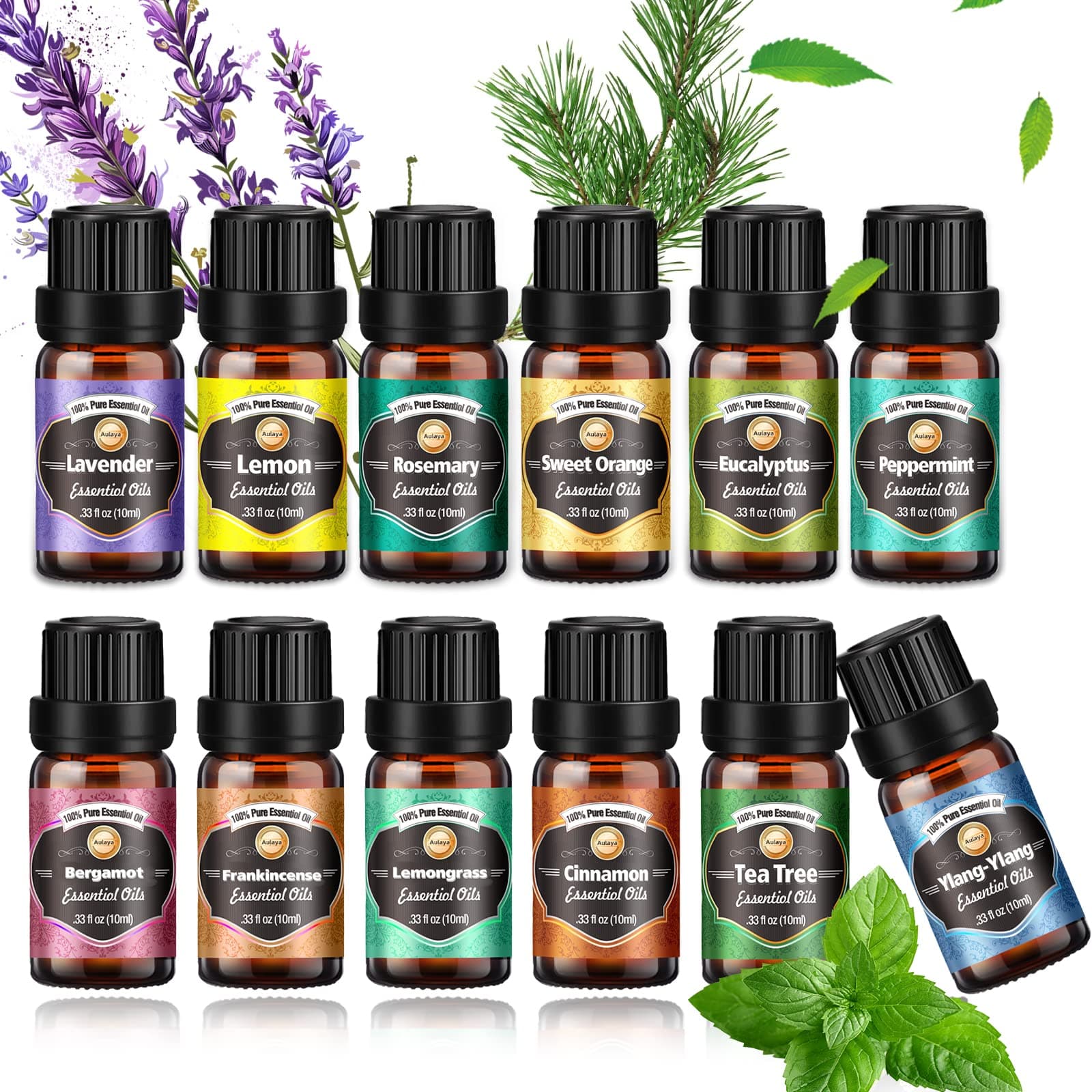 AMINAC Essential Oils Set 12 x 10ml