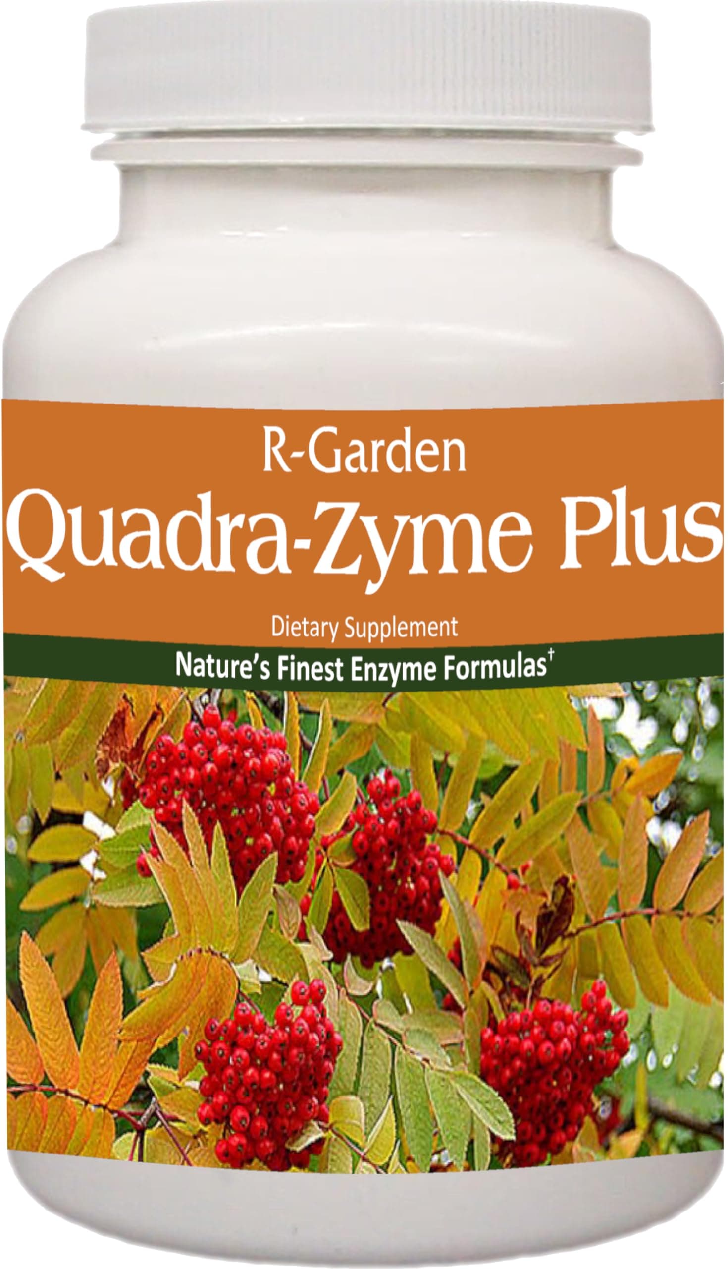 Quadra-Zyme Plus, 180 caps.