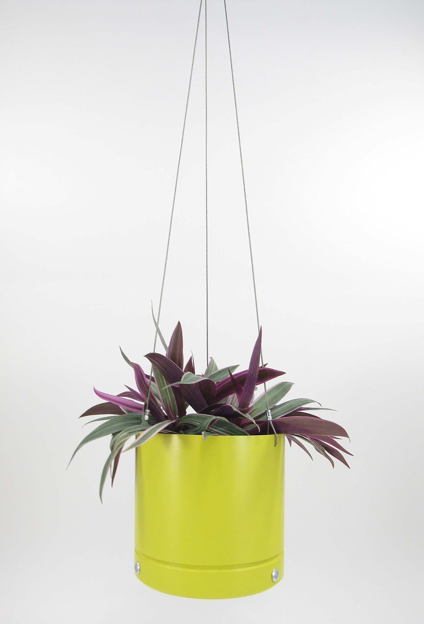 Modern Hanging Planters