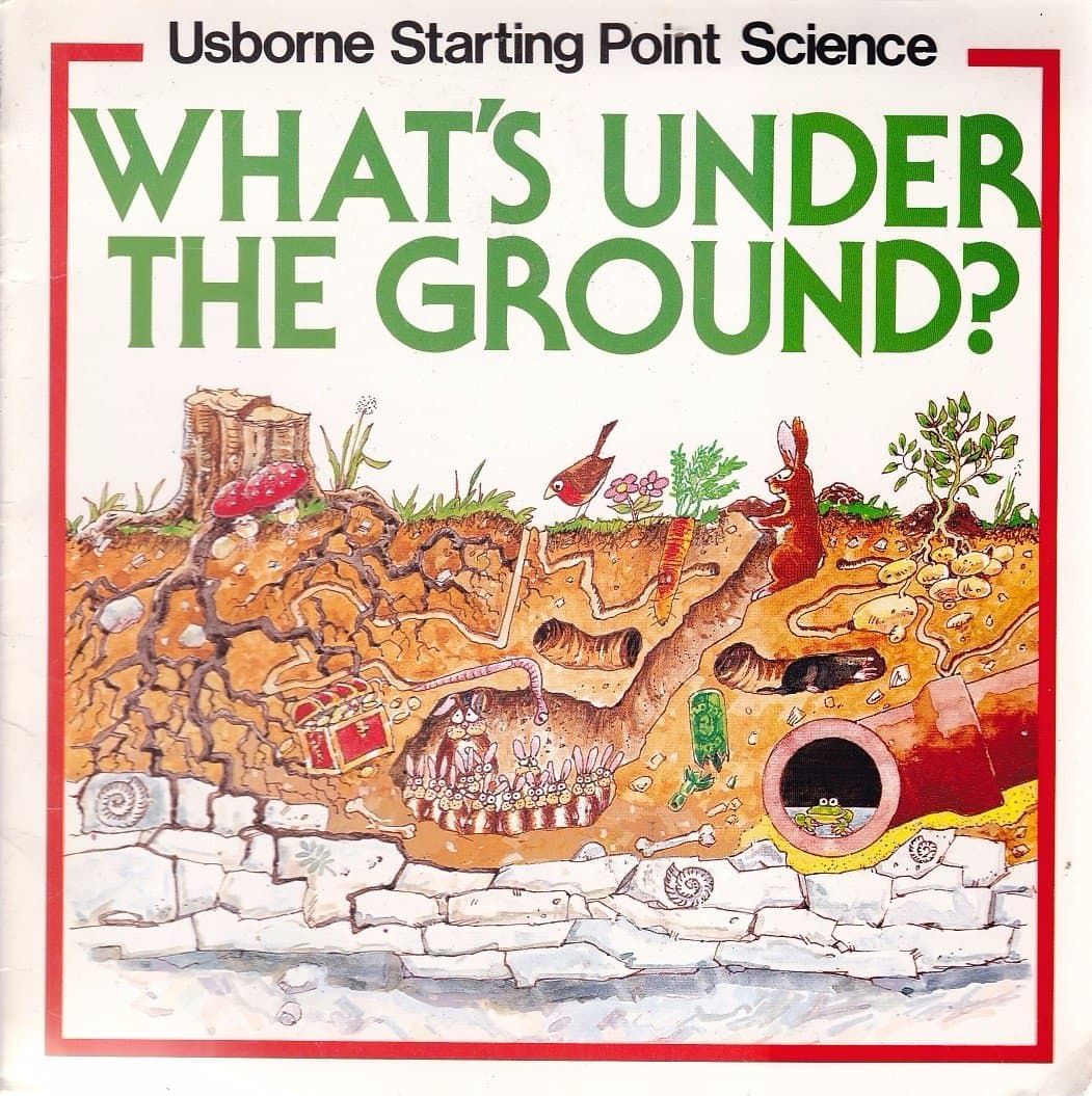 What's Under the Ground? (Usborne Starting Point Science S.)