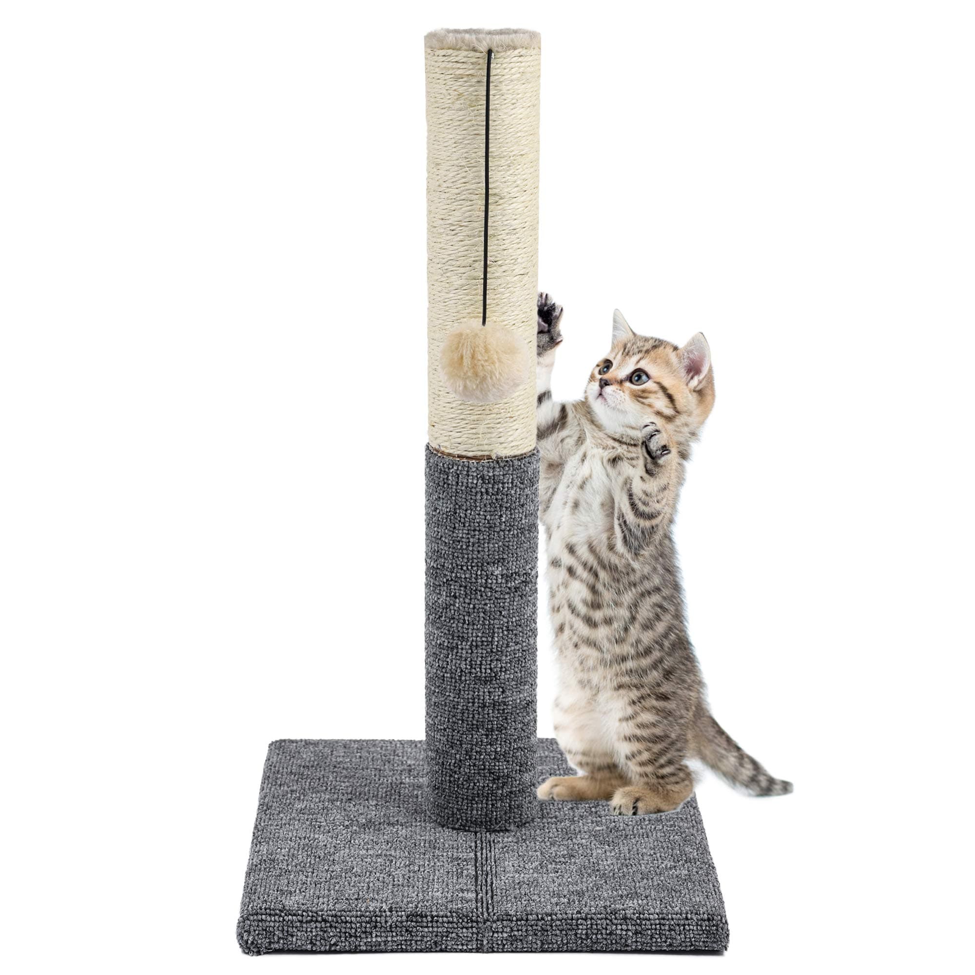 Akarden 20.5'' Tall Cat Scratching Post, Kitty Scratching Post with Hanging Ball, Durable Cat Scratcher Pole with Sisal Rope