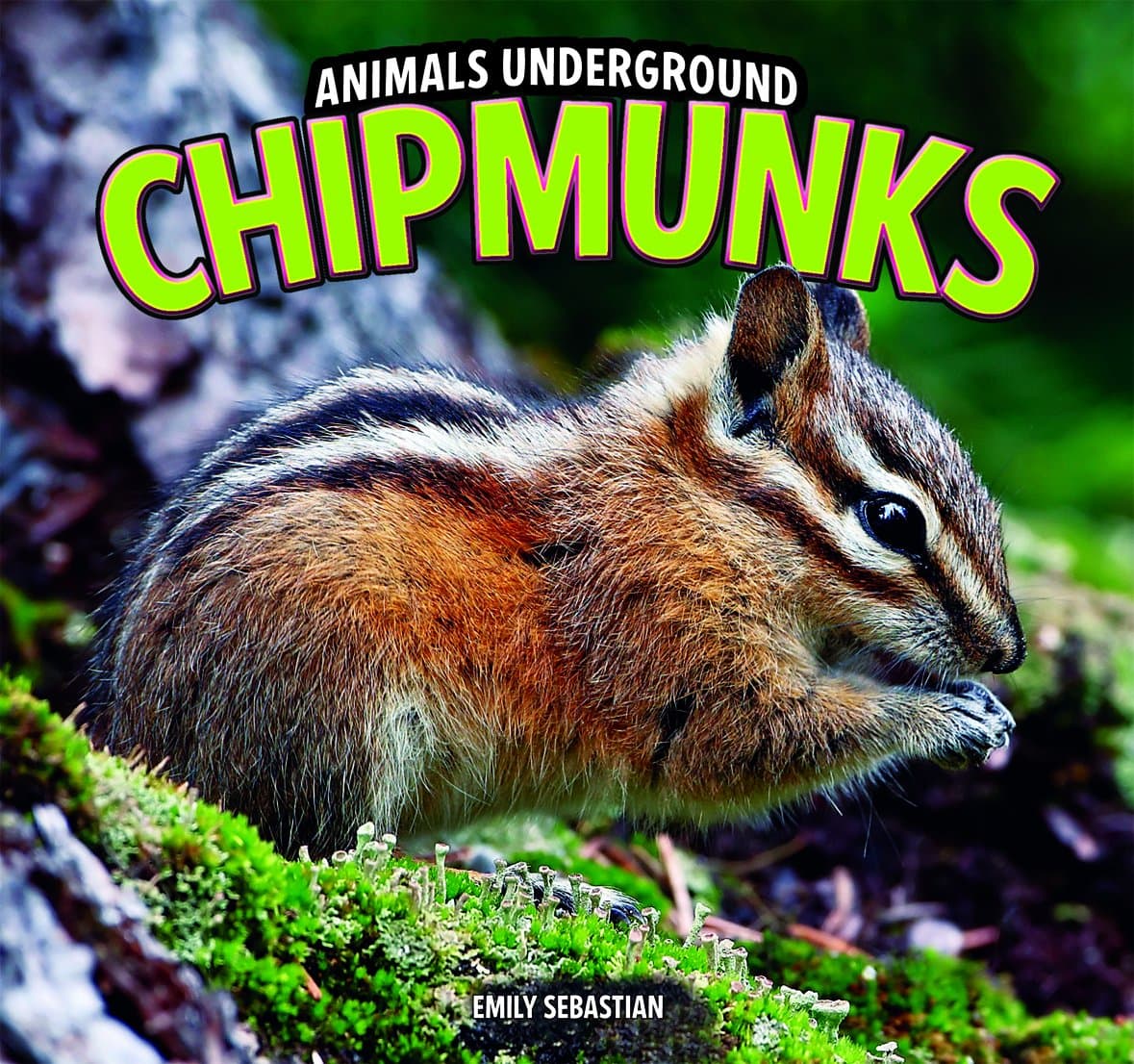 Chipmunks (Animals Underground) Library Binding – Illustrated, 15 Aug. 2011