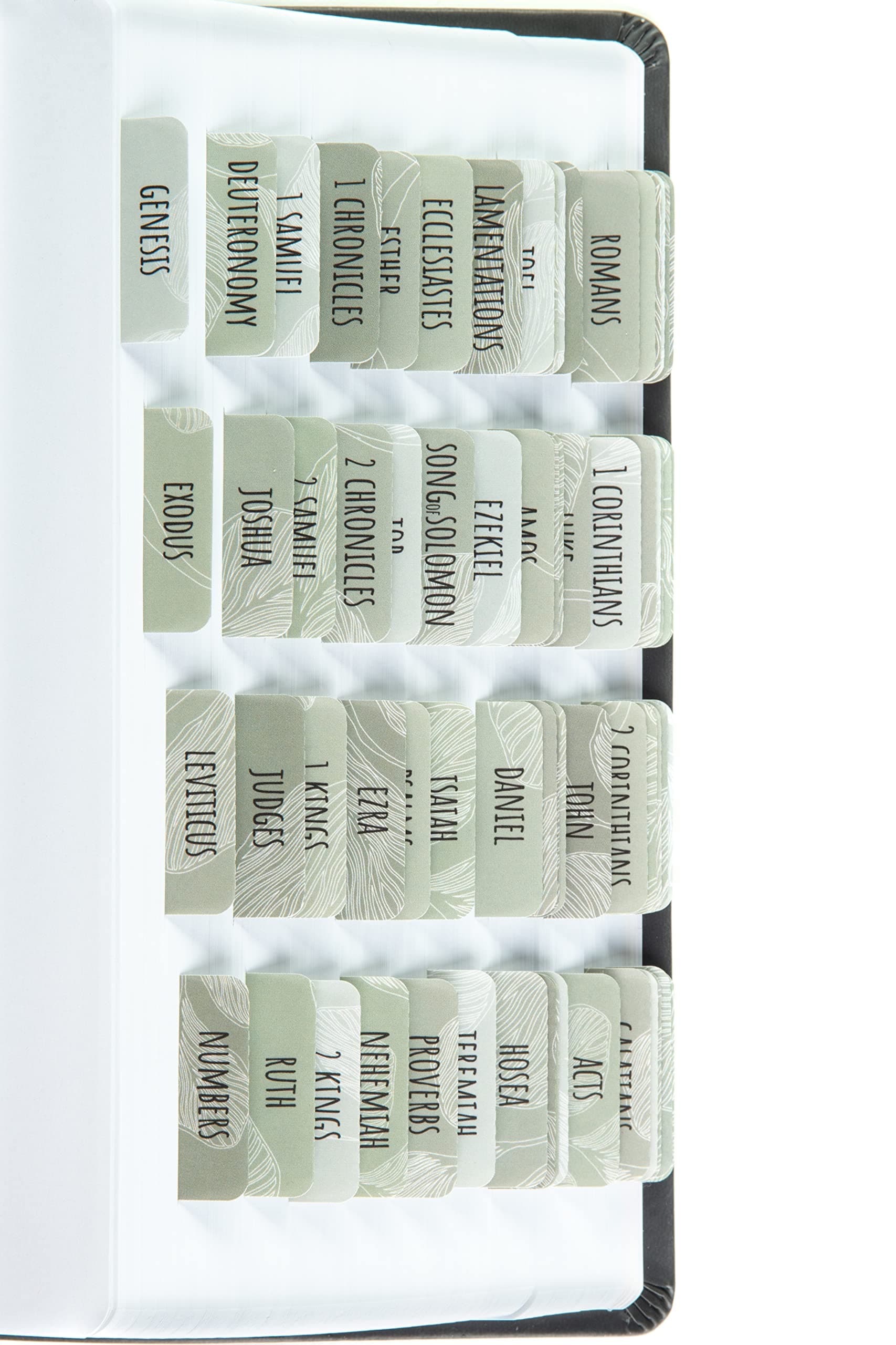 DiverseBee Laminated Bible Tabs (Large Print, Easy to Apply), Bible Study Journaling Supplies, 72 Bible Index Book Tabs for Women, Bible Accessories, Includes 6 Blank Tabs - Sage Theme