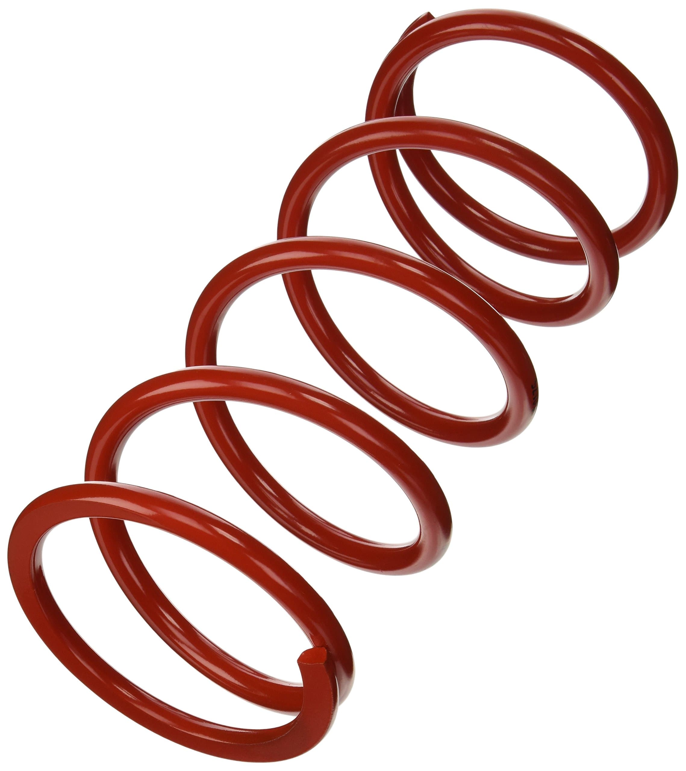 1100.500.0175 Conventional Rear Spring