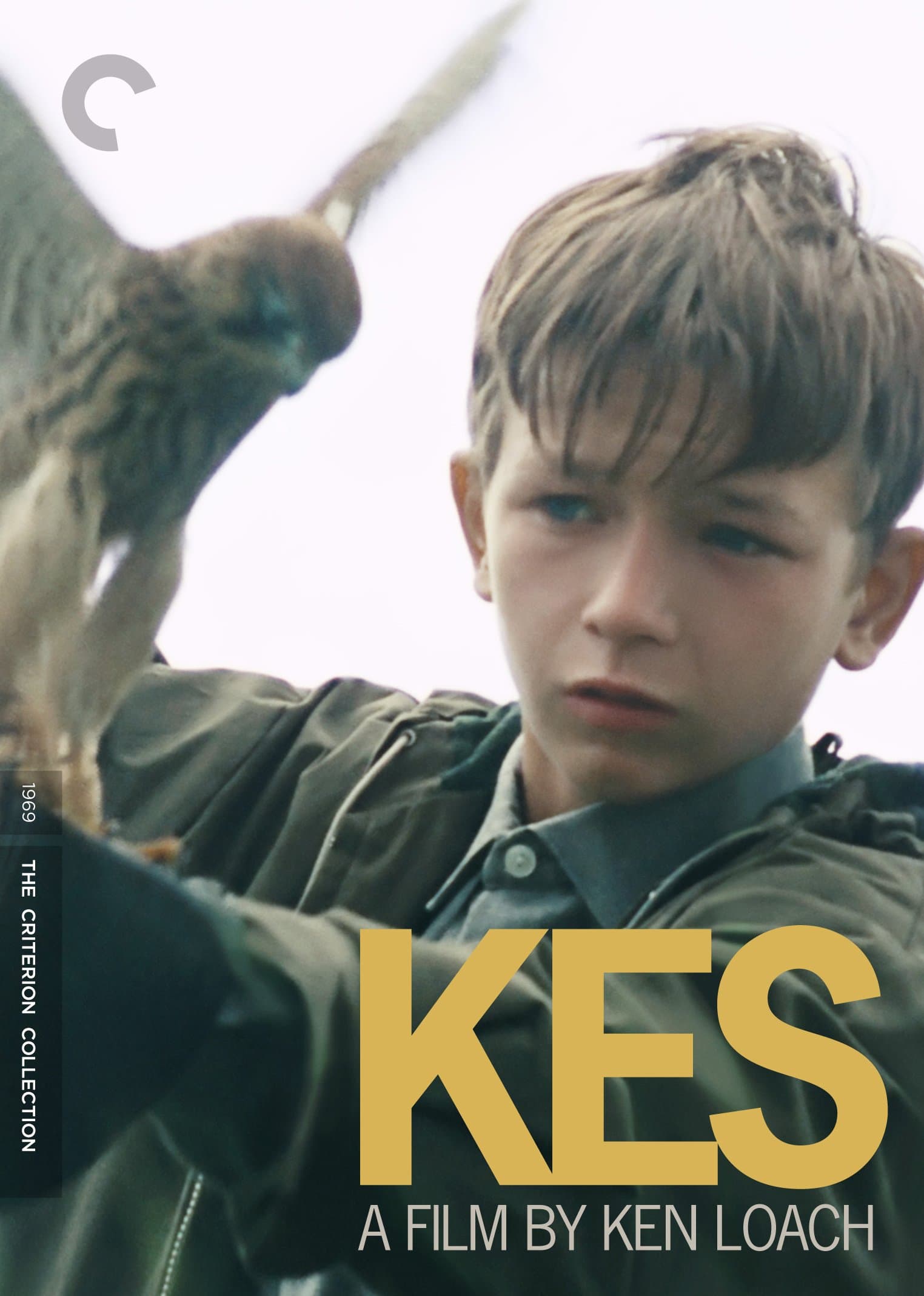 Kes (The Criterion Collection) [DVD]