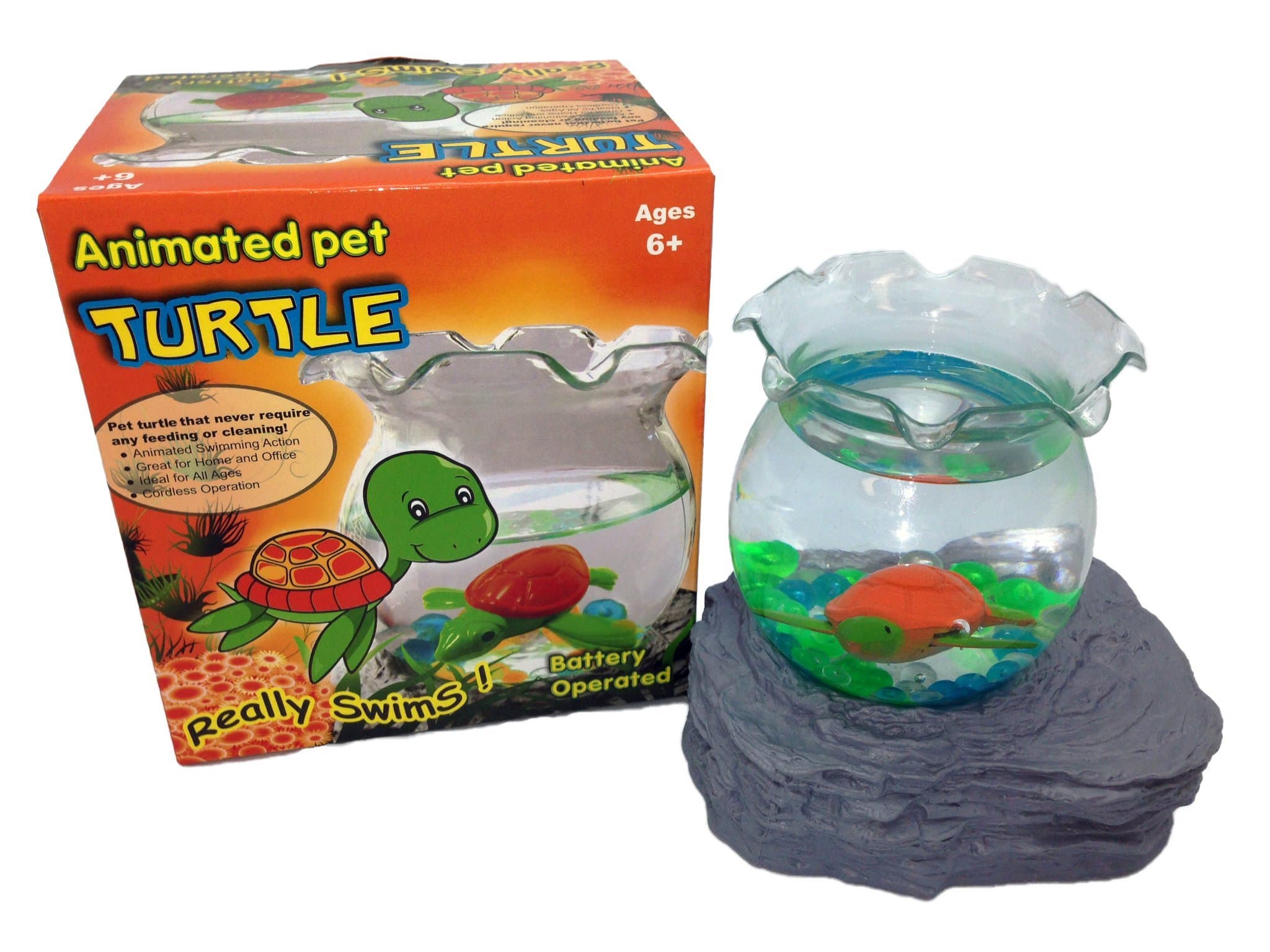 Cute Pet Turtle, Aquarium Bowl