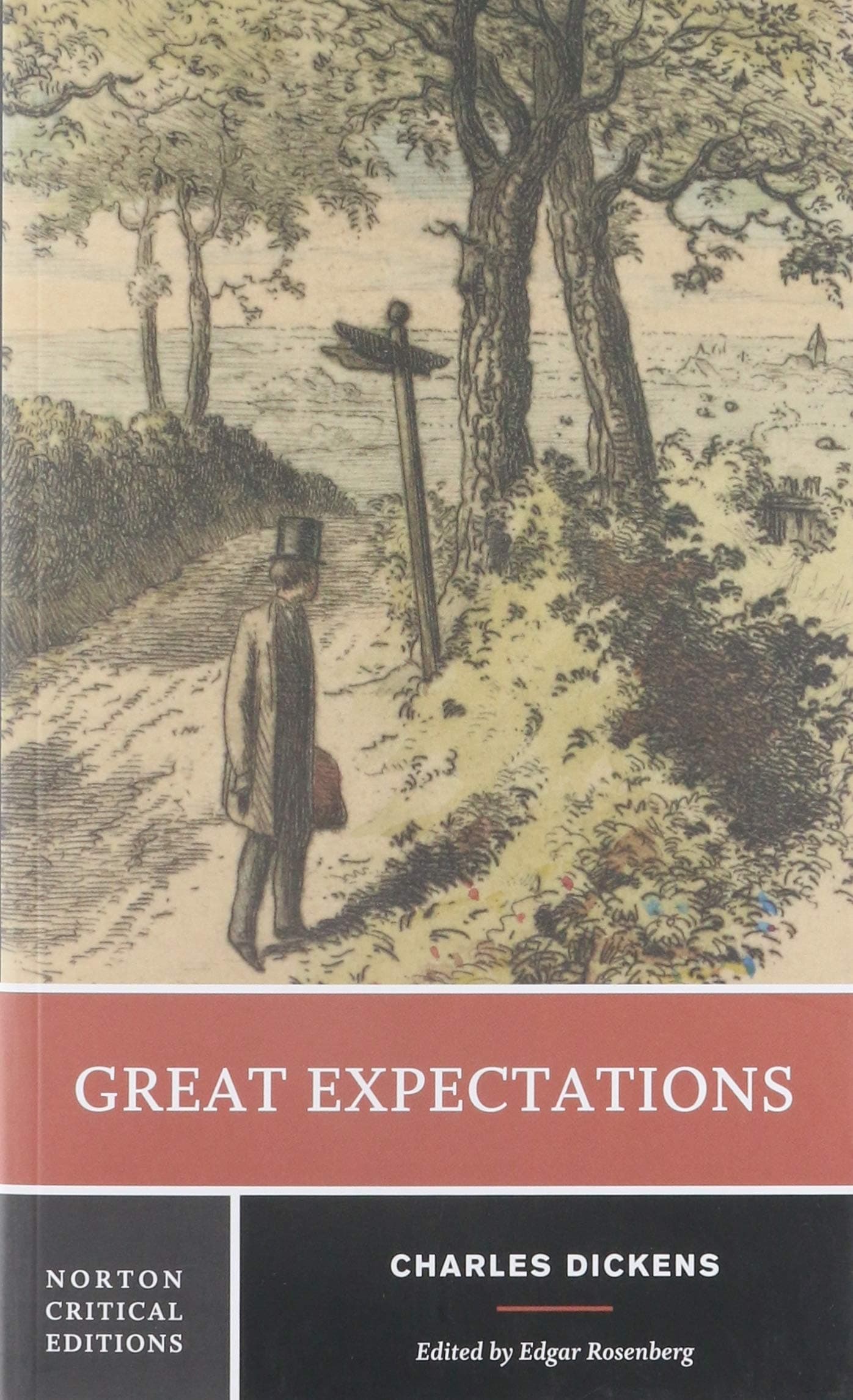 Great Expectations: A Norton Critical Edition: 0