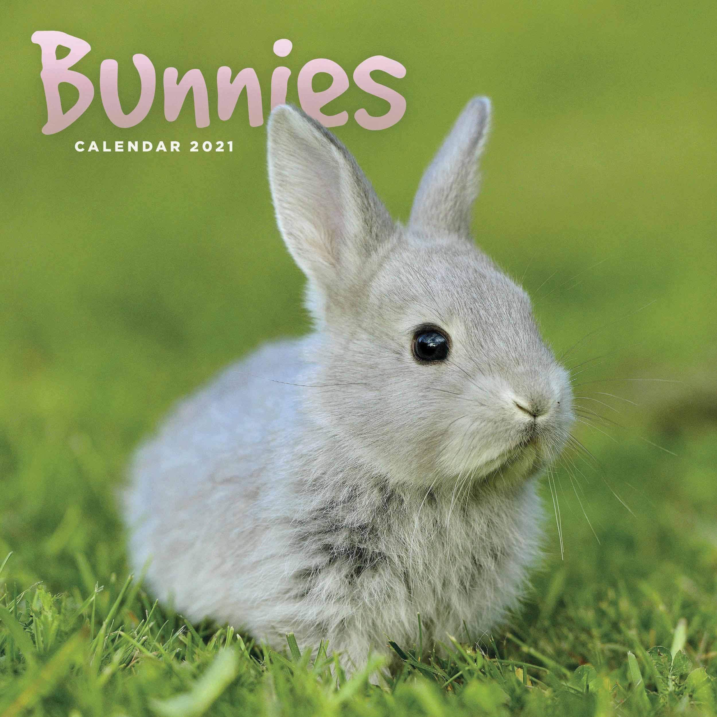 Bunnies Mini Calendar 2021