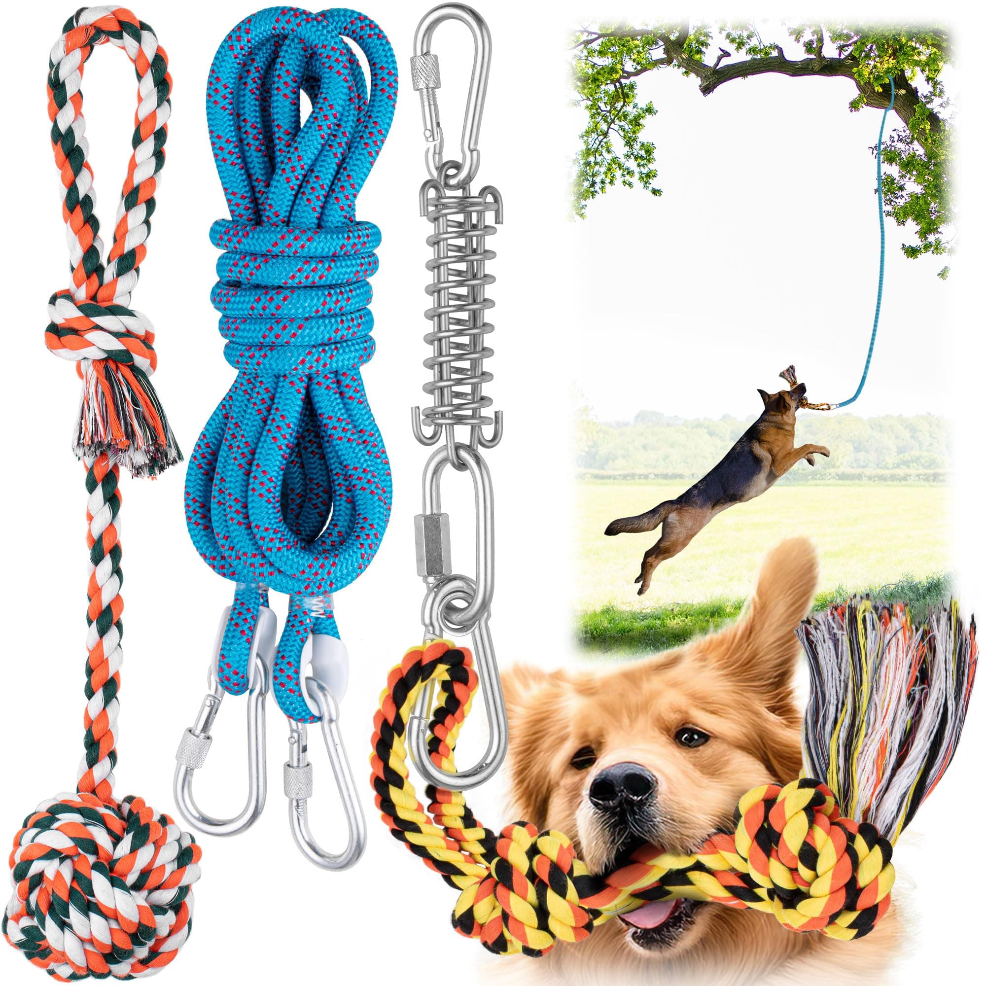 1 Spring & 2 Rope Toys
