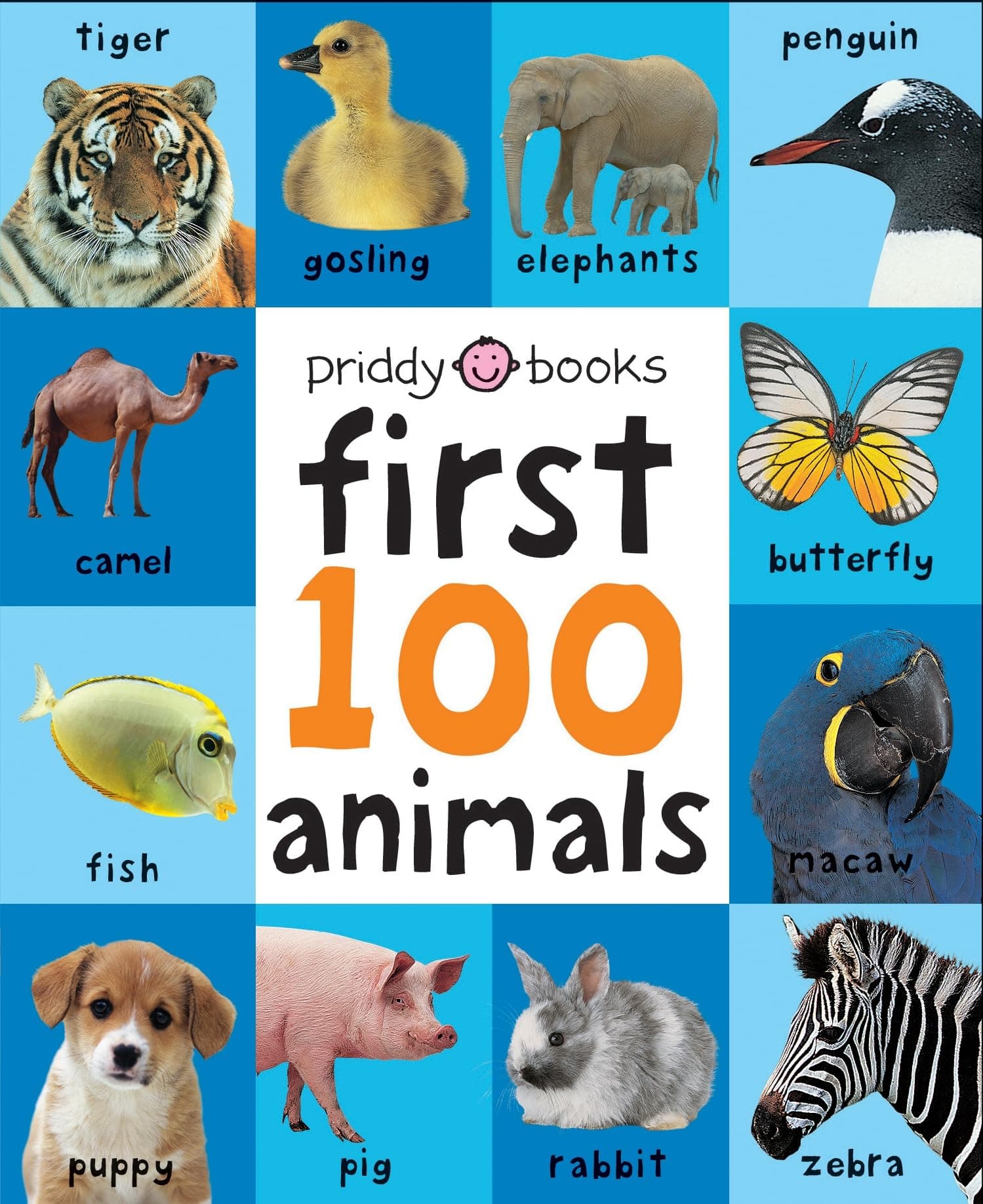 First 100 Animals: A soft-to-touch, first words book for babies and toddlers