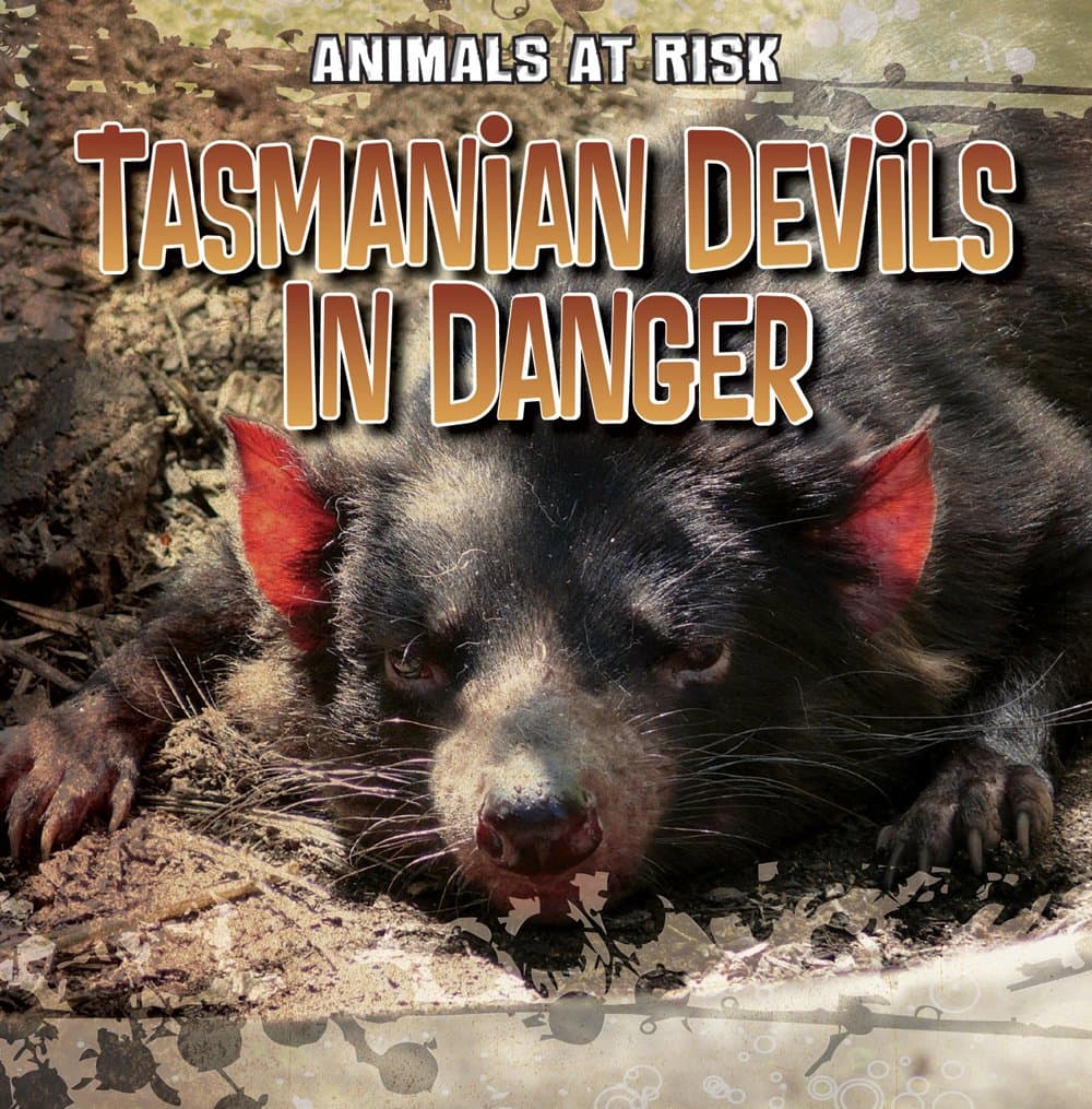 Tasmanian Devils in Danger (Animals at Risk)