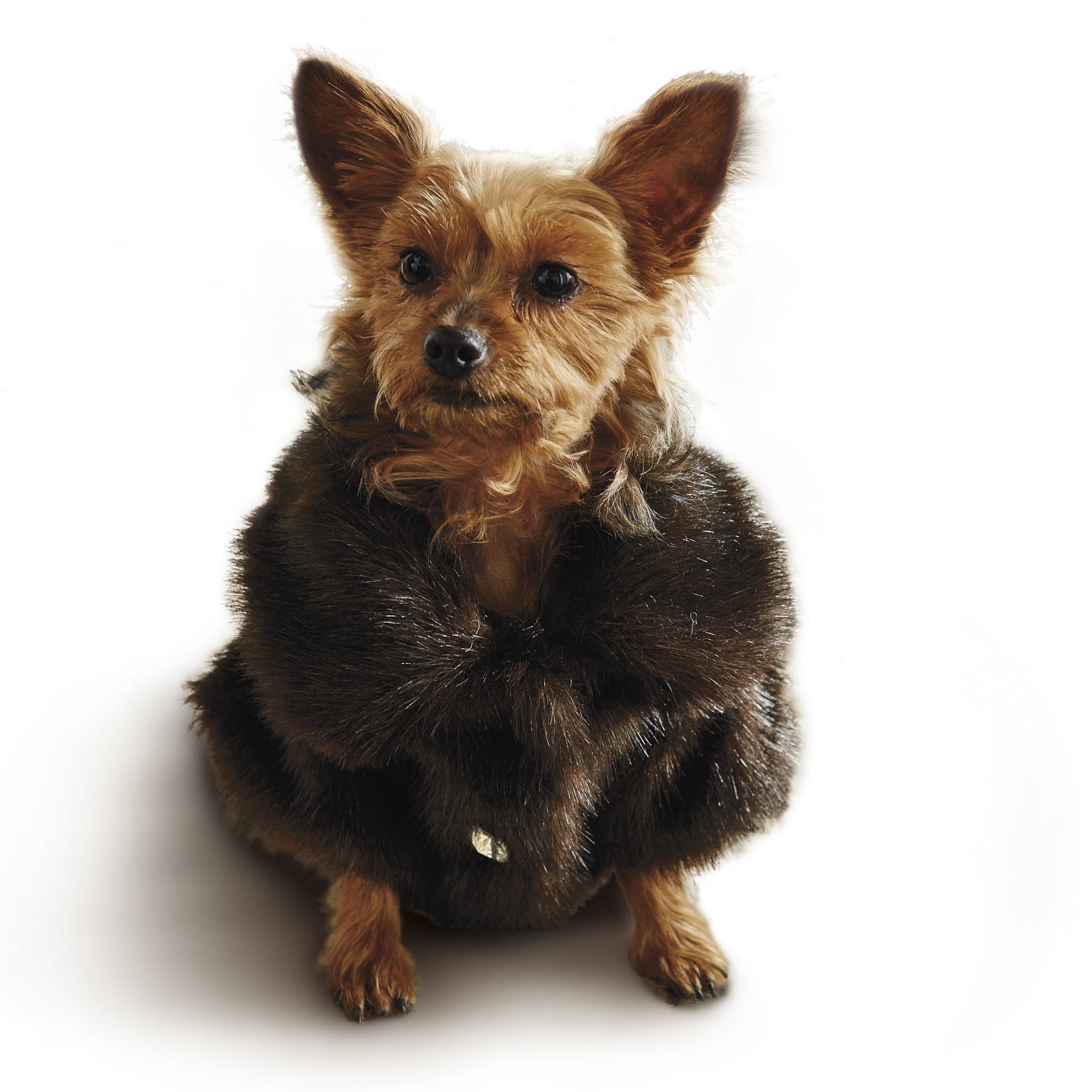 Frontgate Faux Fur Pet Jacket, Channeled Mink, Medium