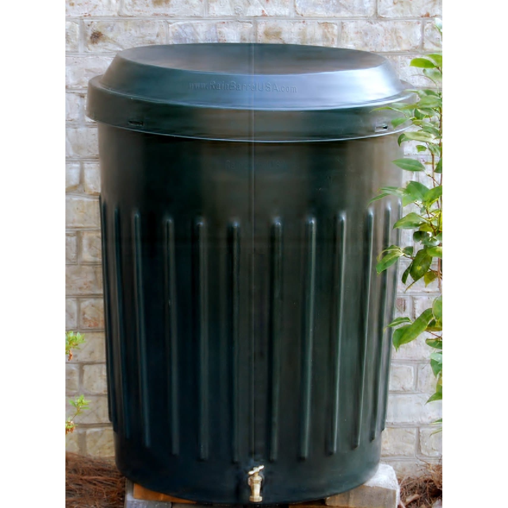 80 Gallon Modern Rain Barrel with Solid Brass Faucet and Removable Debris Screen Made with Plastic in Dark Green
