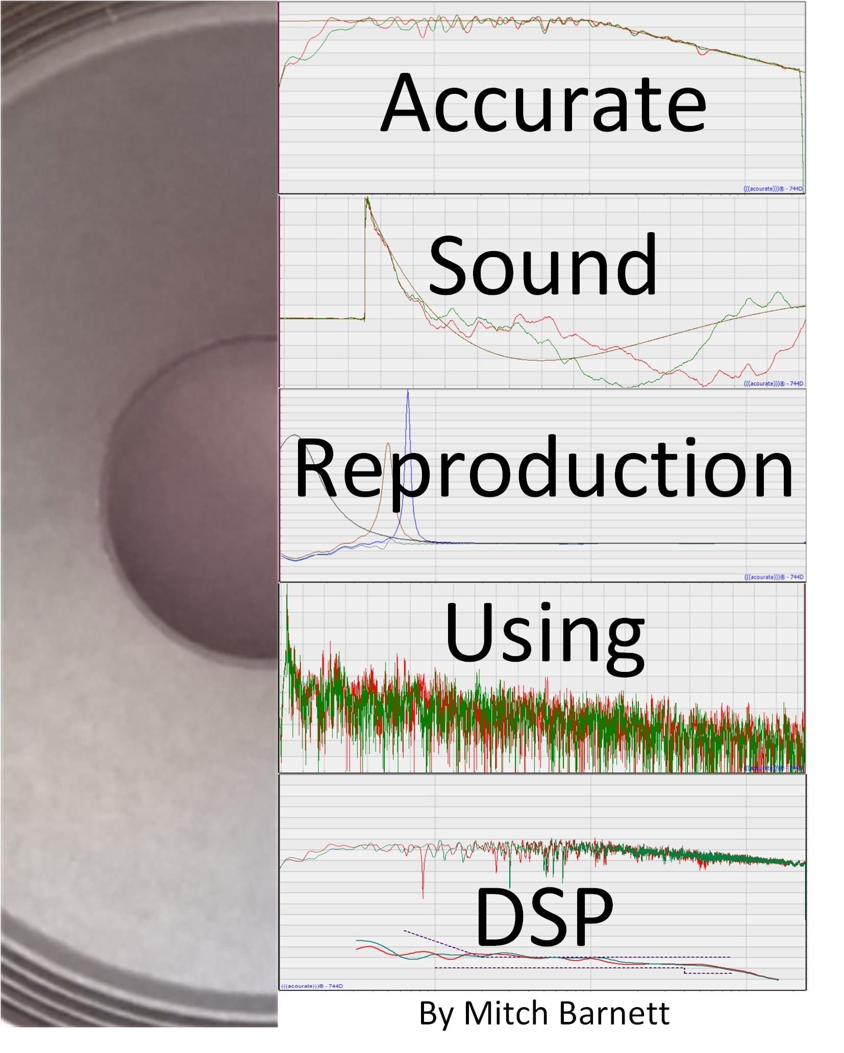 Accurate Sound Reproduction Using DSP Kindle Edition