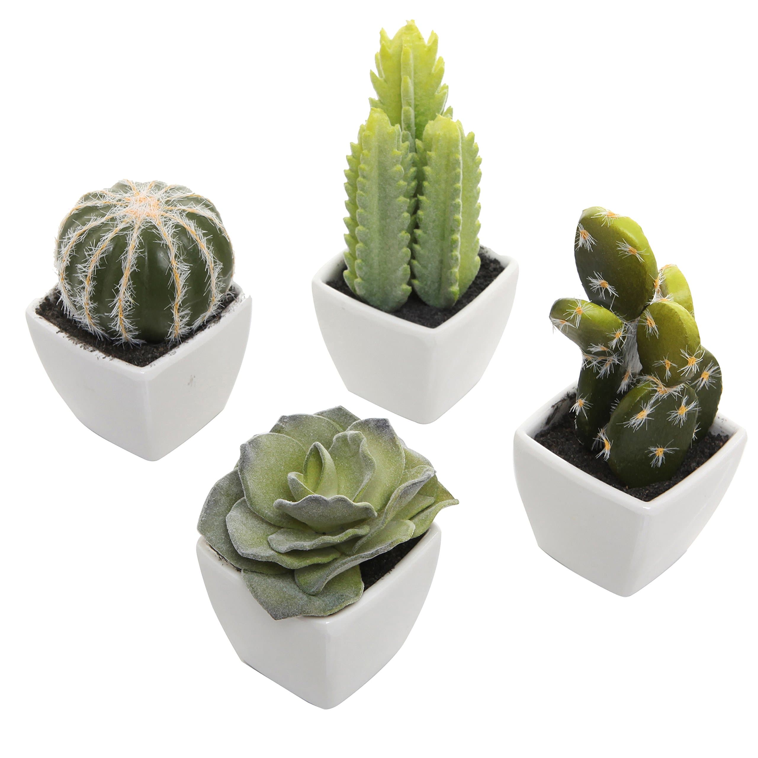 Assorted Miniature Artificial Succulent & Cactus Plants in White Cube Pots
