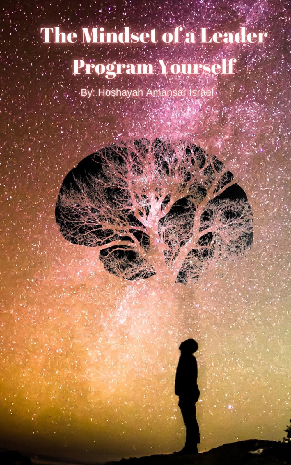 The Mindset of a Leader: Program Yourself