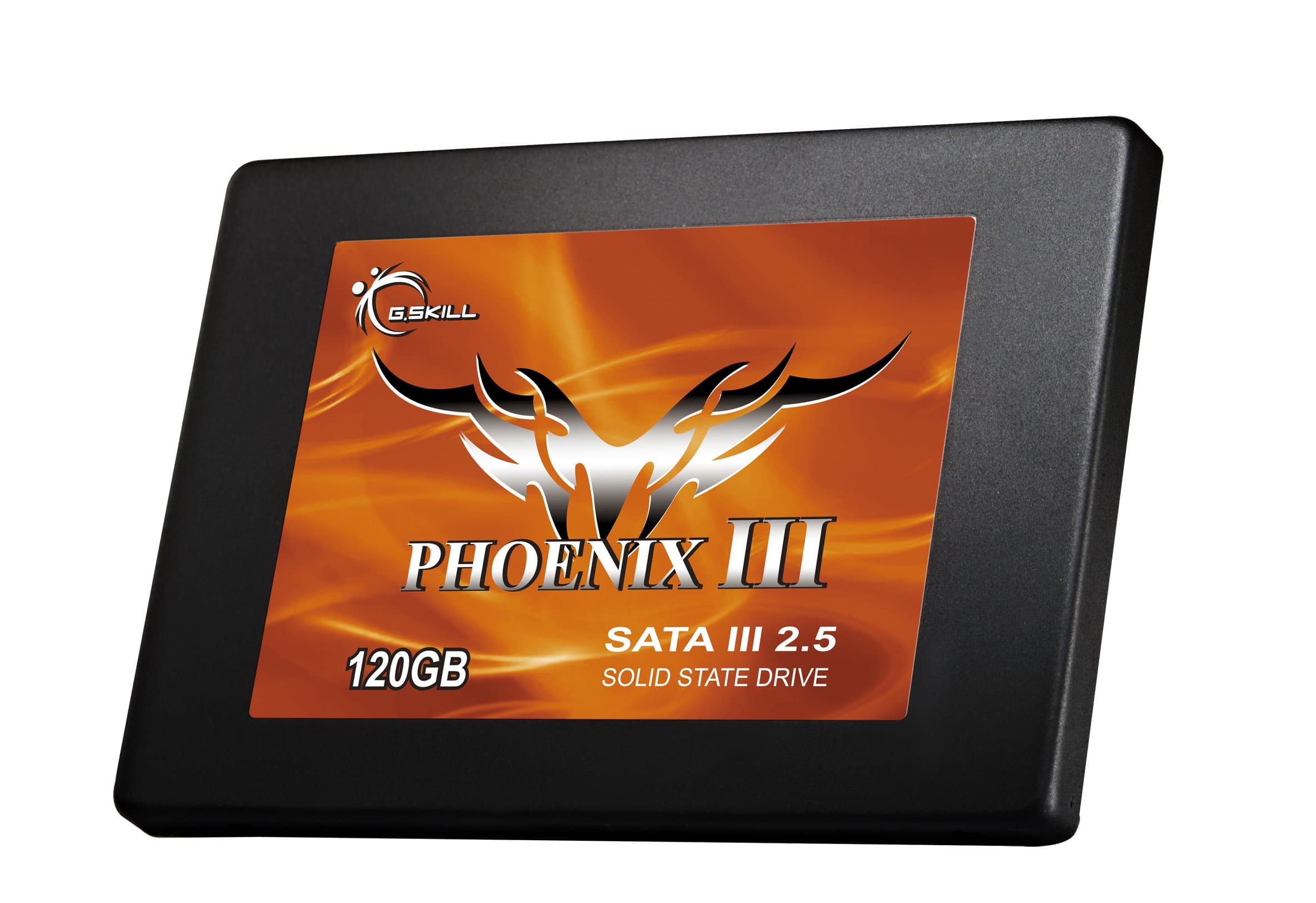 G.Skill International Enterprise Phoenix III 120GB Solid State Drive FM-25S3-120GBP3