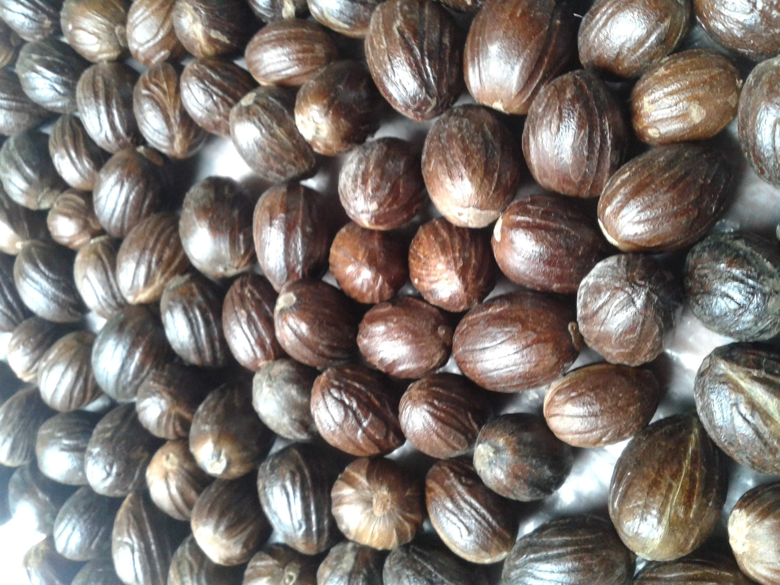 1oz(approx 6 nuts) Whole NUTMEG A+ Grade Organic