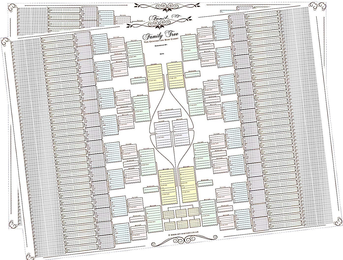 Family Tree Chart - 10 Generation Double Chart (Coloured Boxes 120 g Paper Pack of Two)