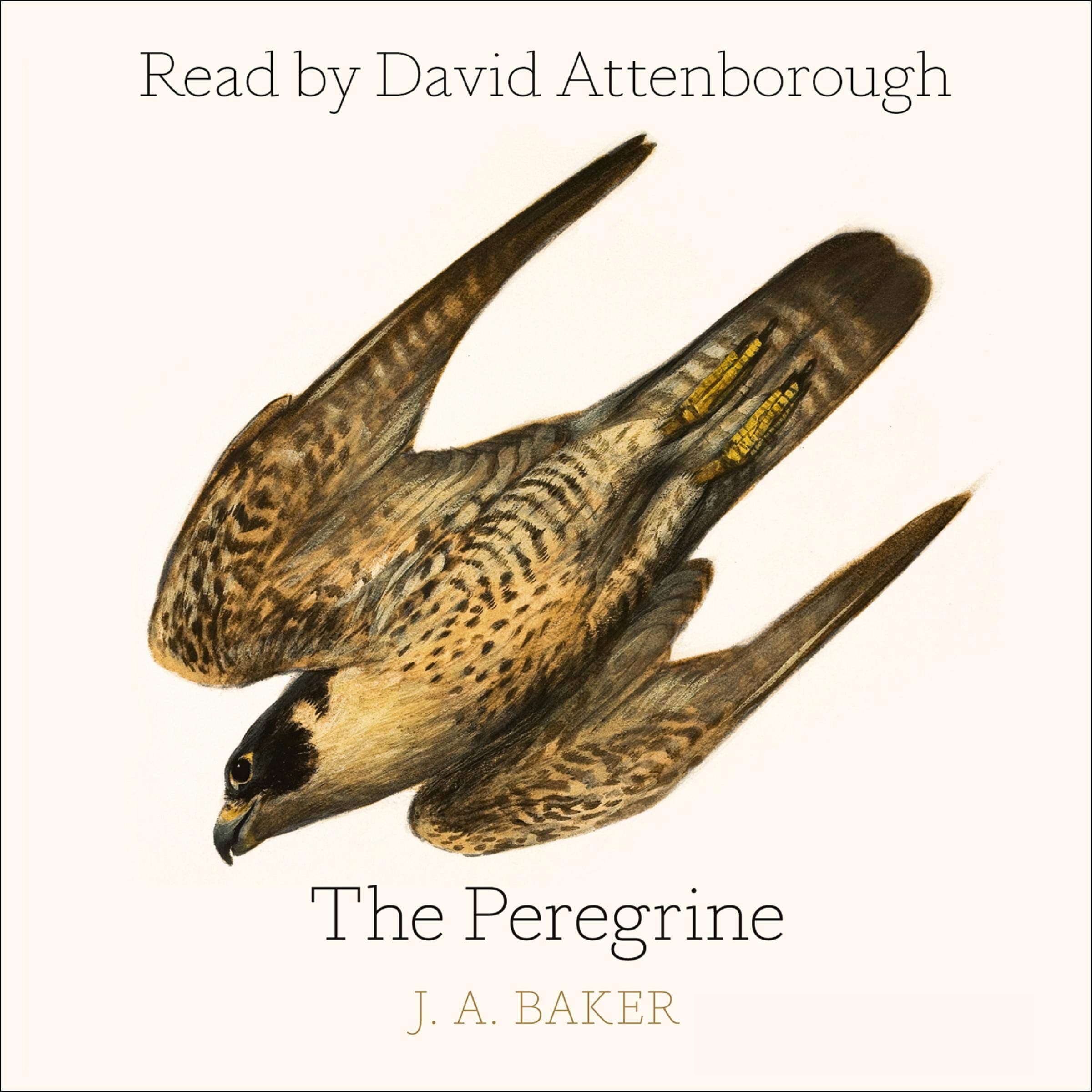 J. A. BakerThe Peregrine